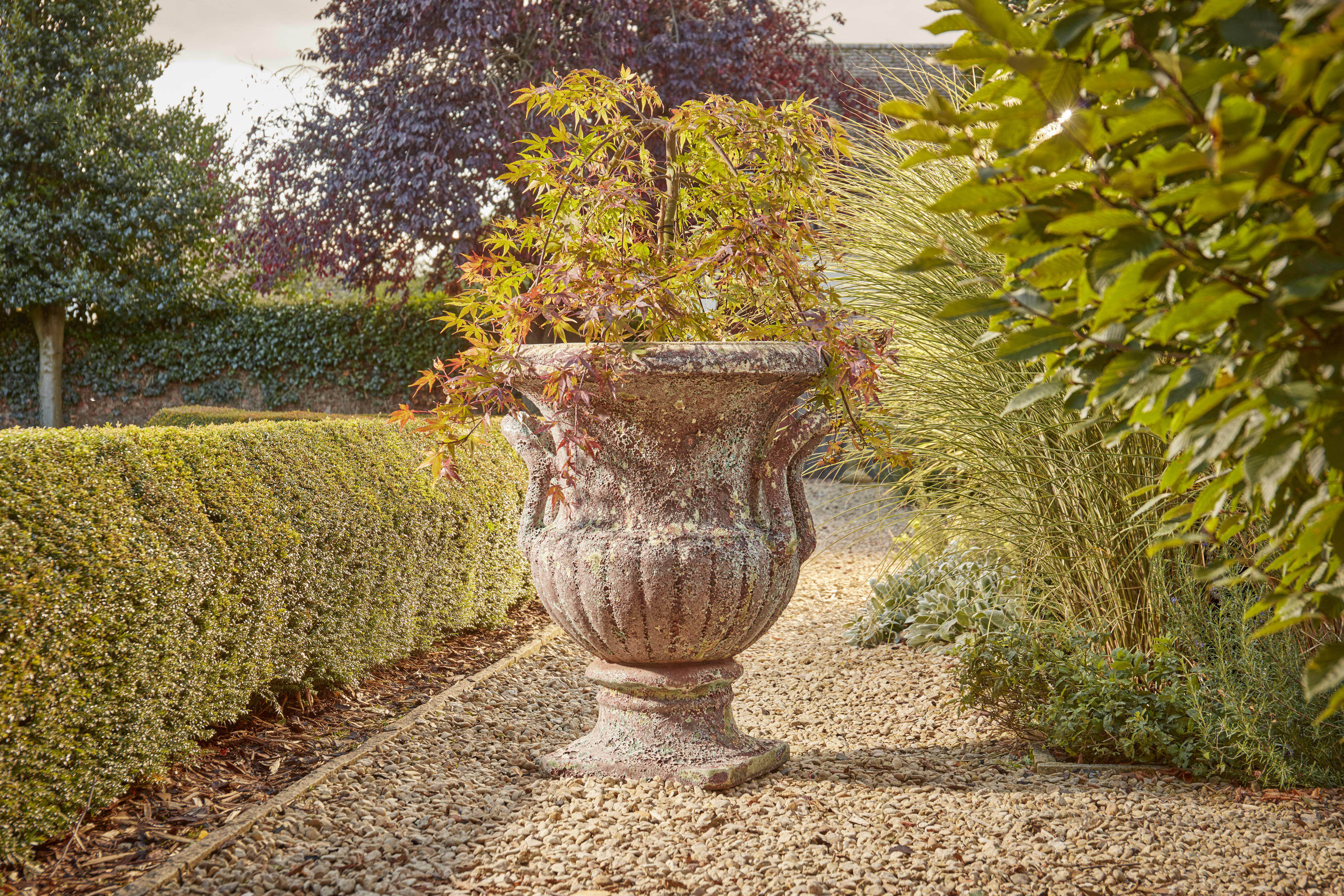 [object Object] image 1