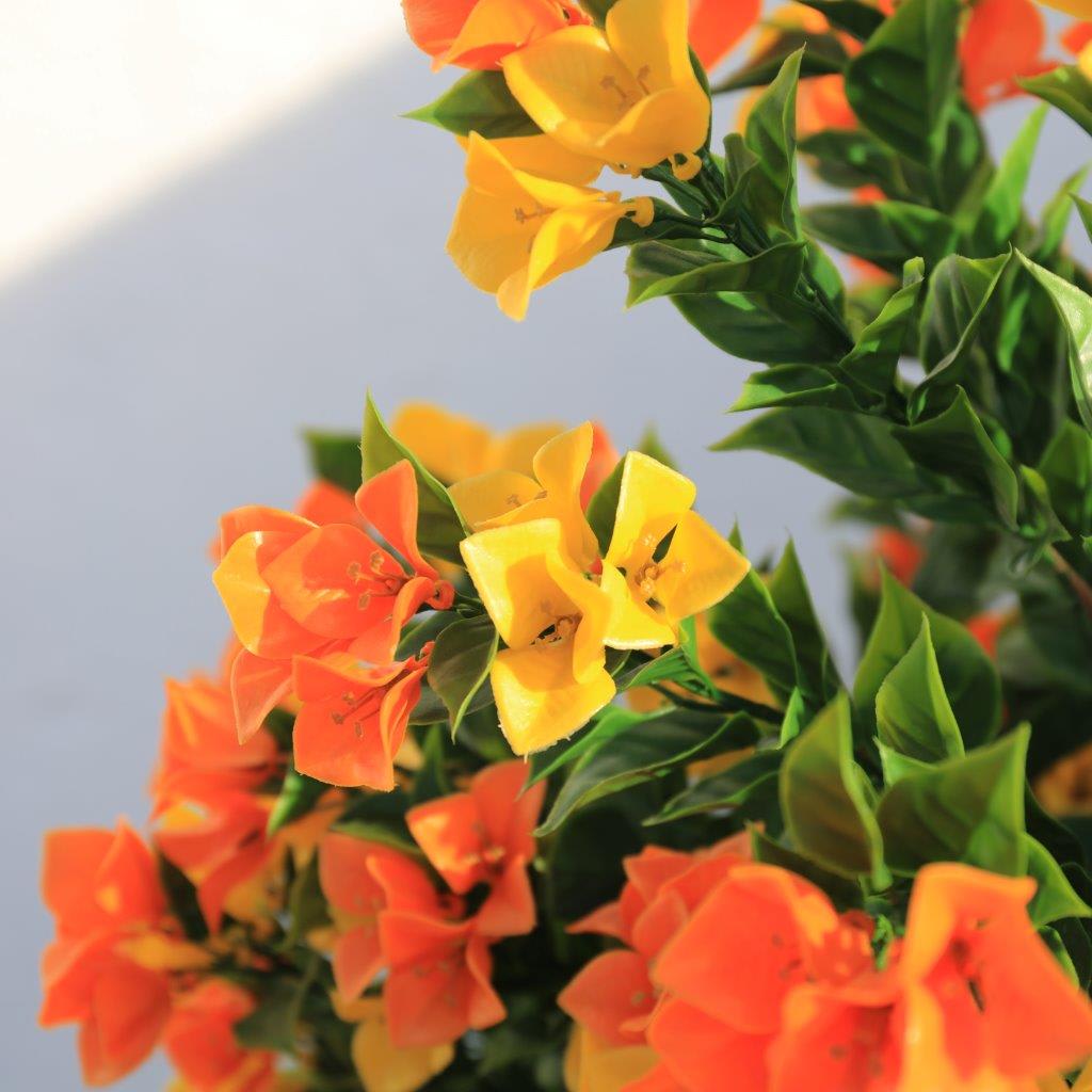 [object Object] image 2