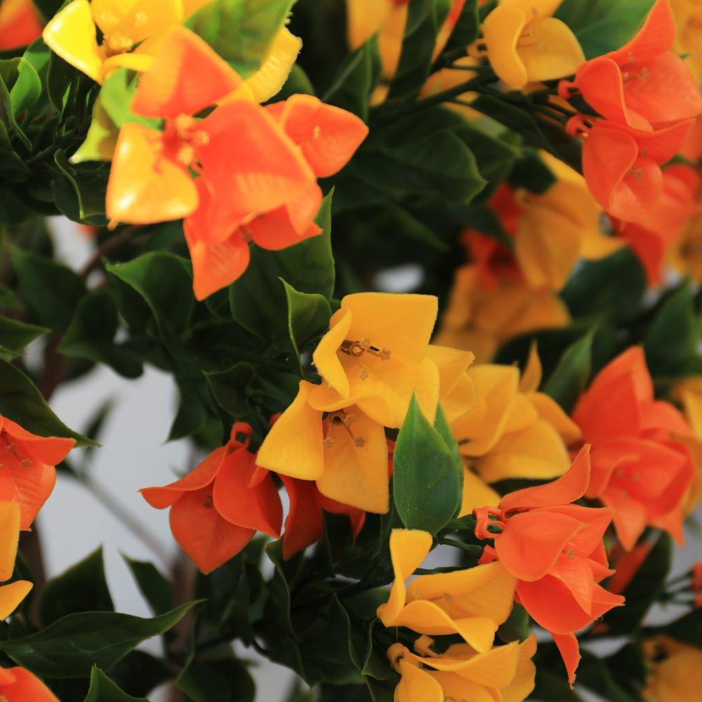 [object Object] image 3