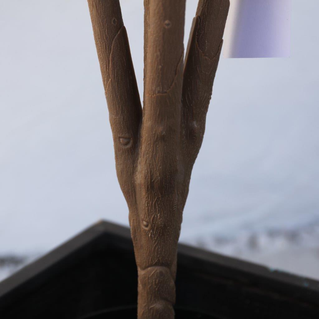 [object Object] image 4