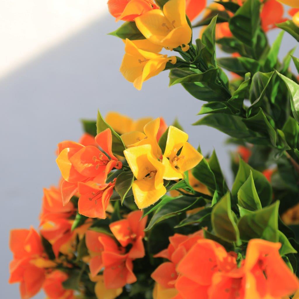 [object Object] image 5