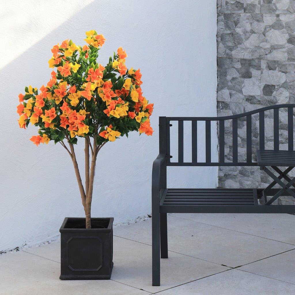 120cm Potted Bougainvillea Gd lifestyle