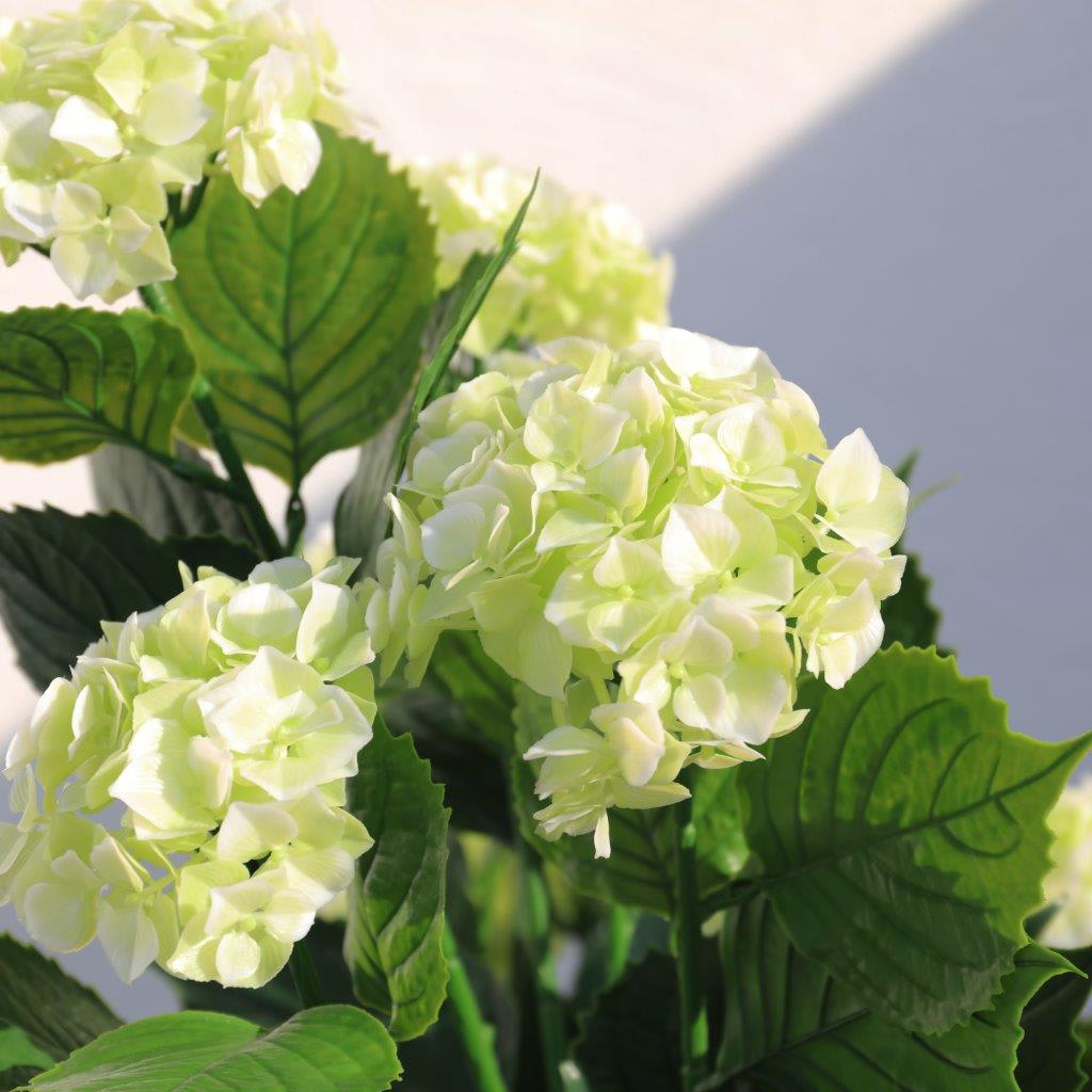 [object Object] image 2