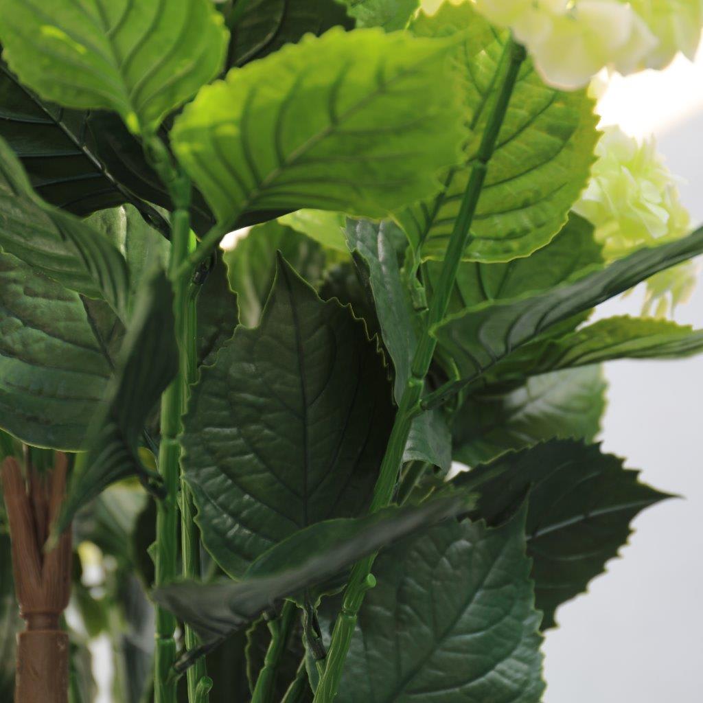 [object Object] image 4