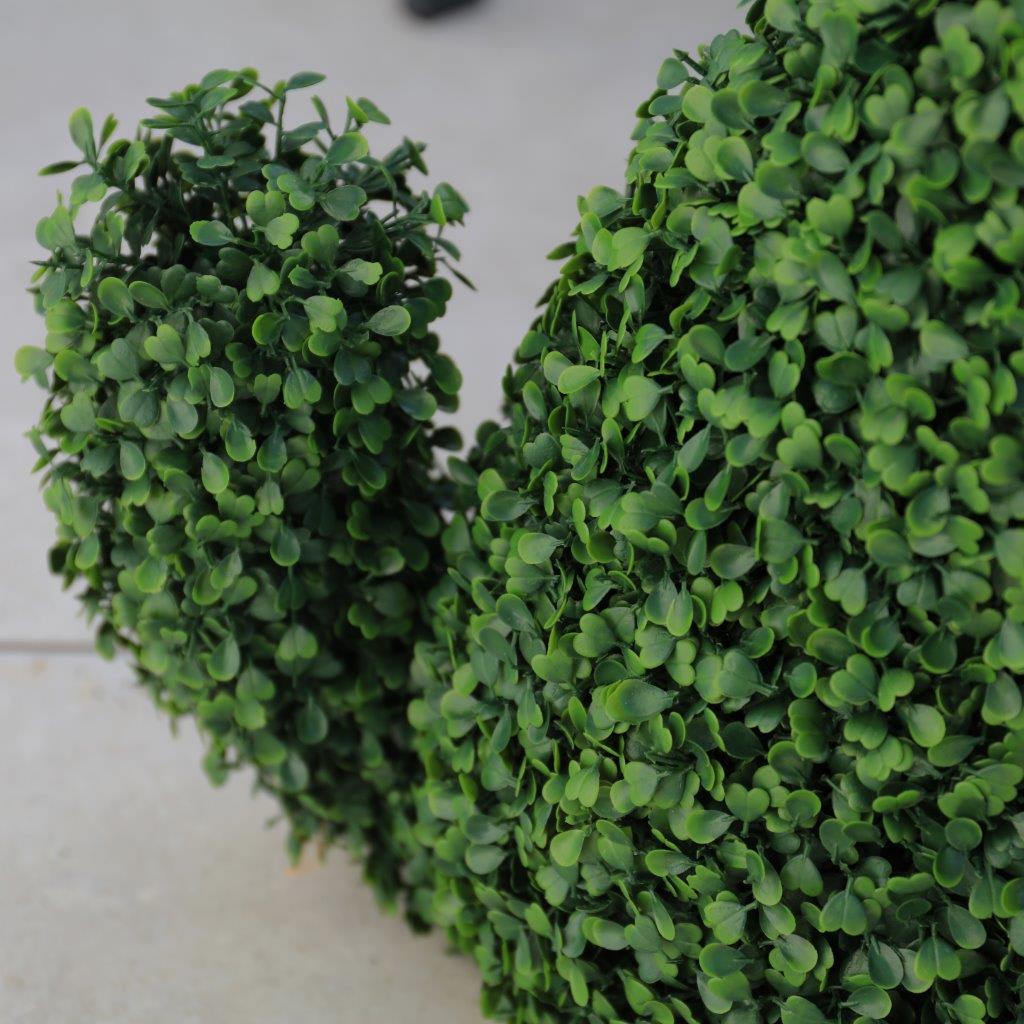 [object Object] image 2