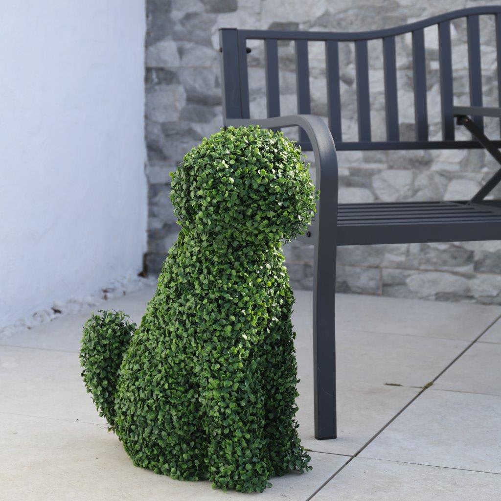 [object Object] image 5