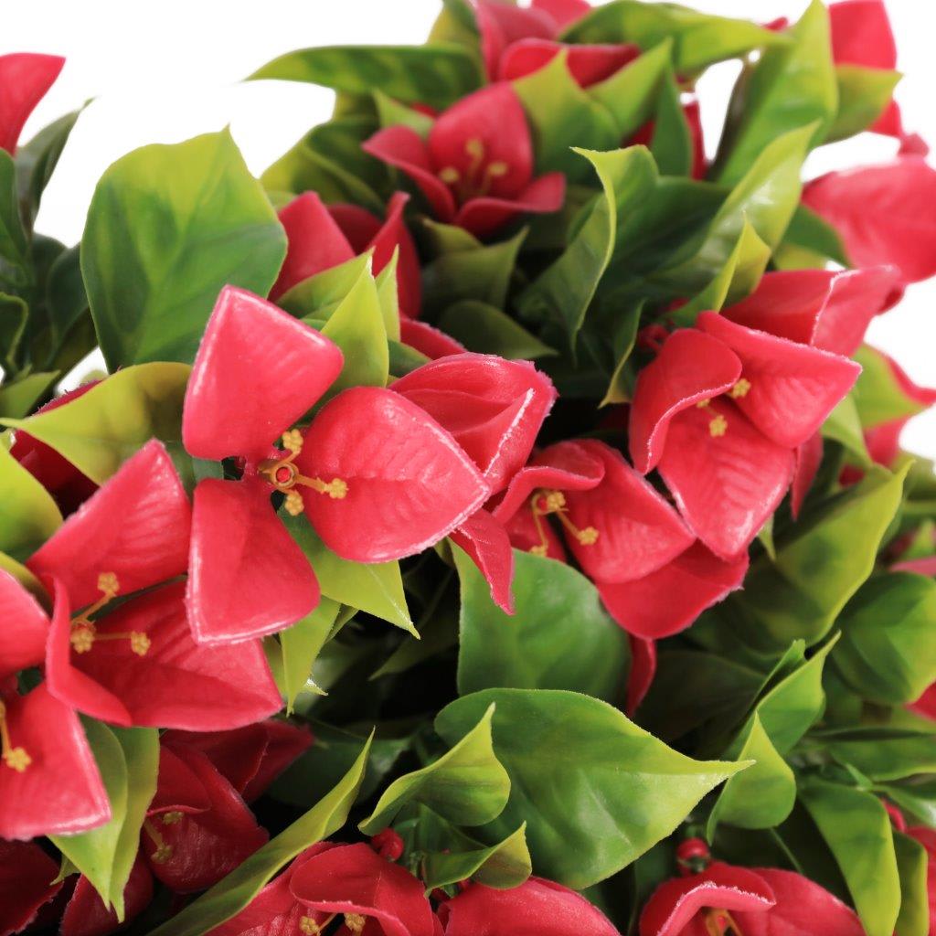 [object Object] image 5