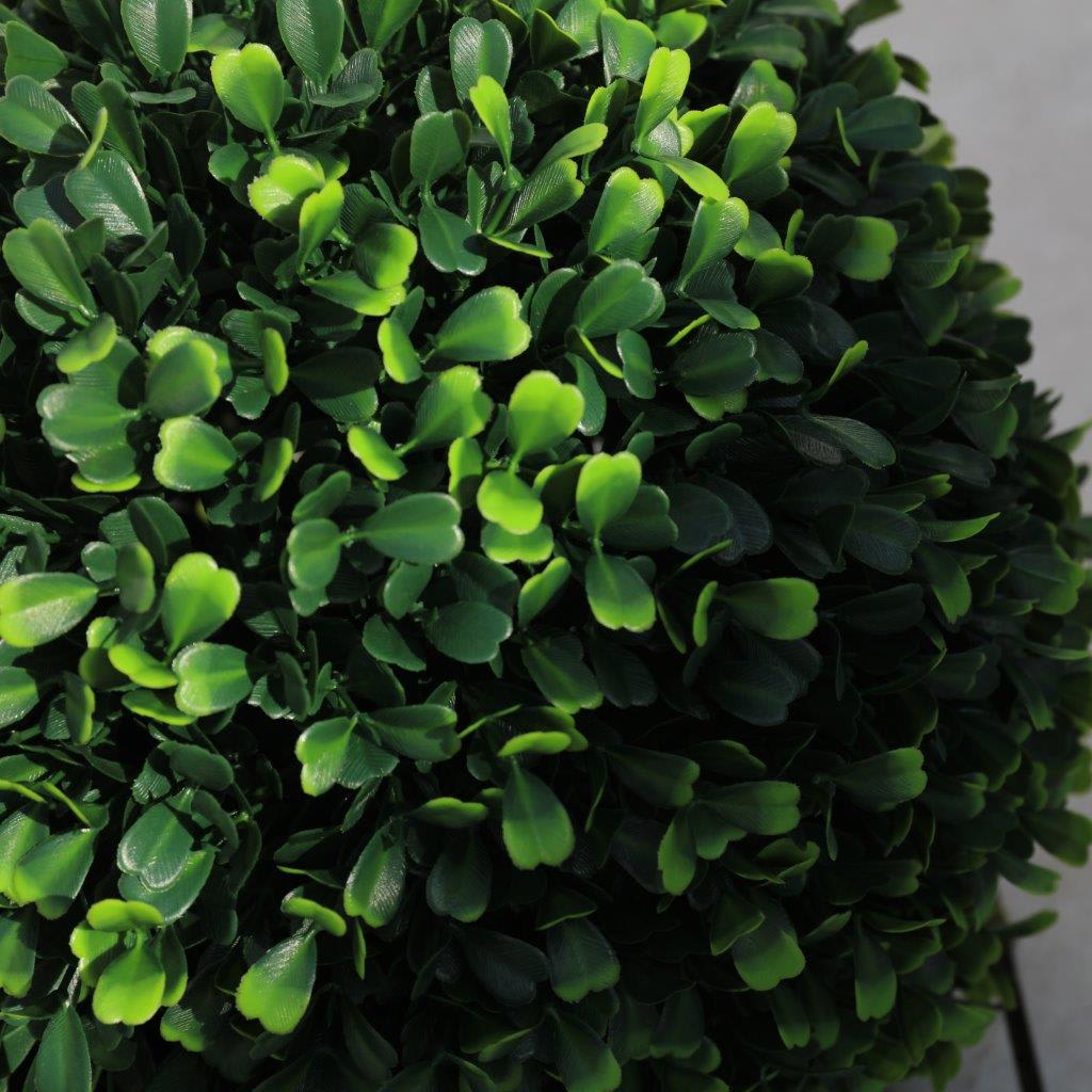 [object Object] image 2