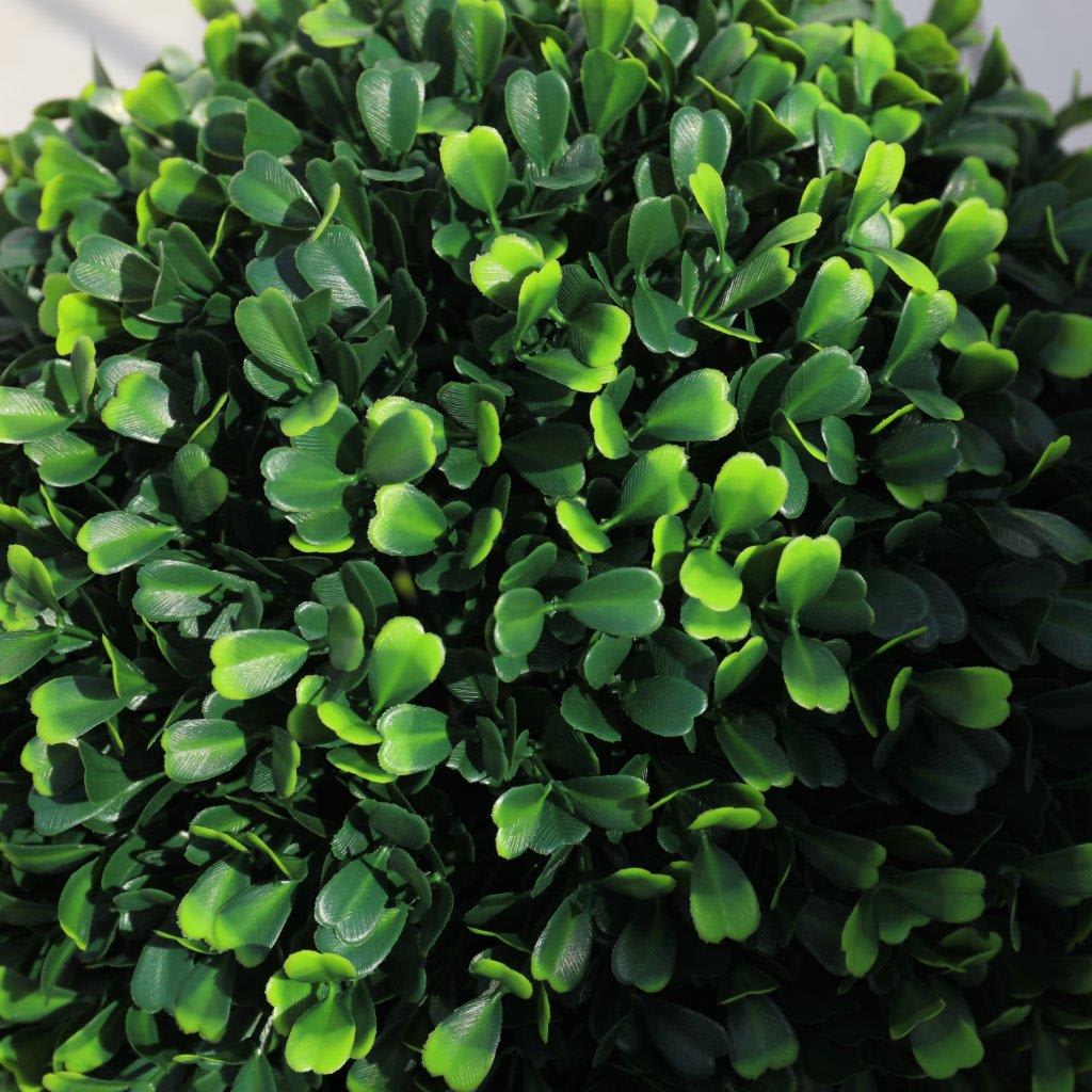 [object Object] image 3