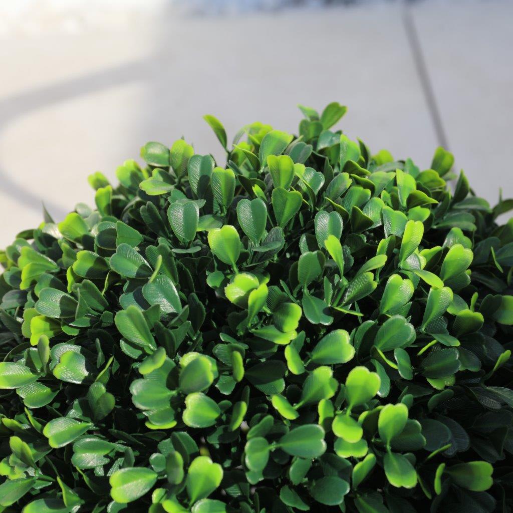 [object Object] image 4