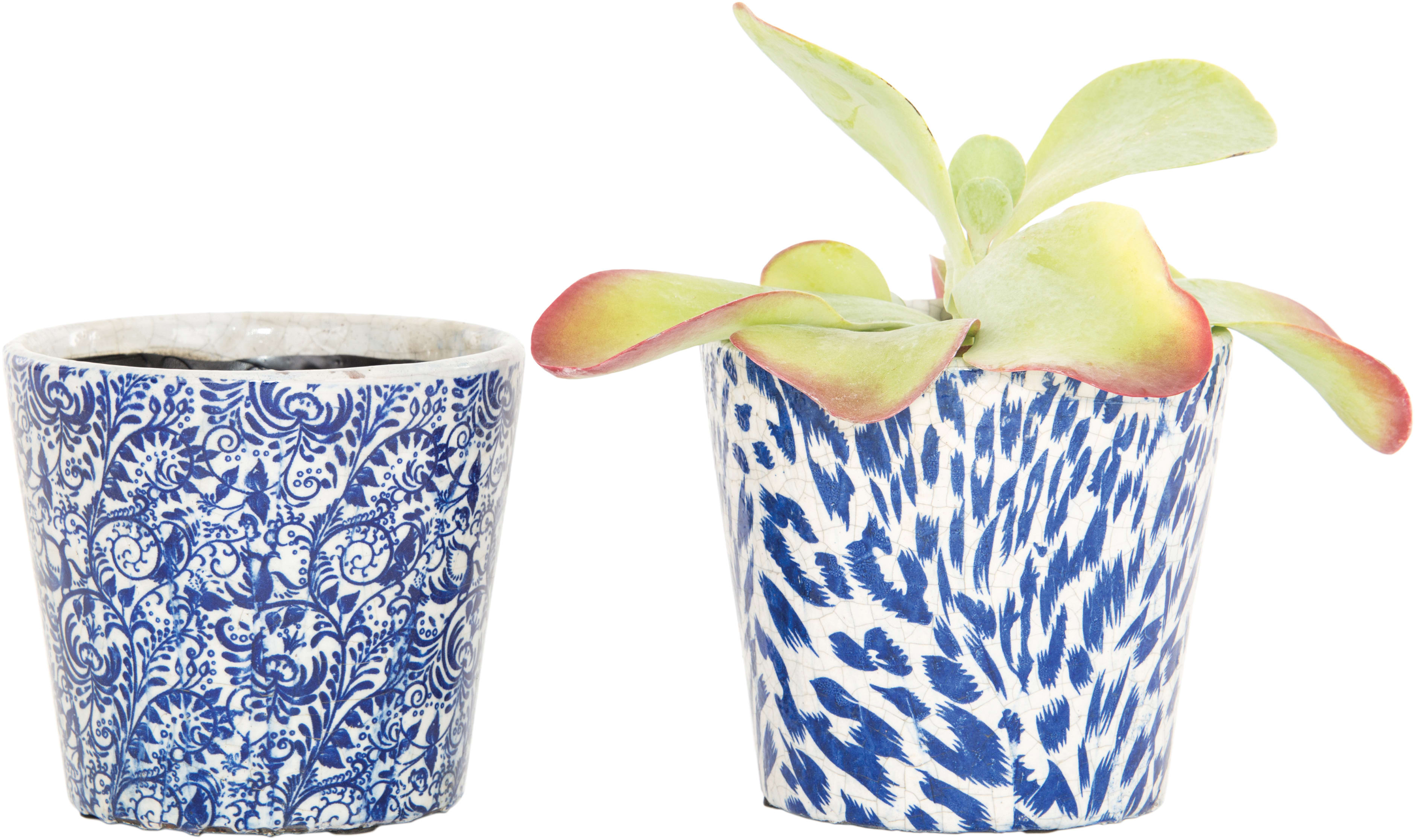 [object Object] image 0