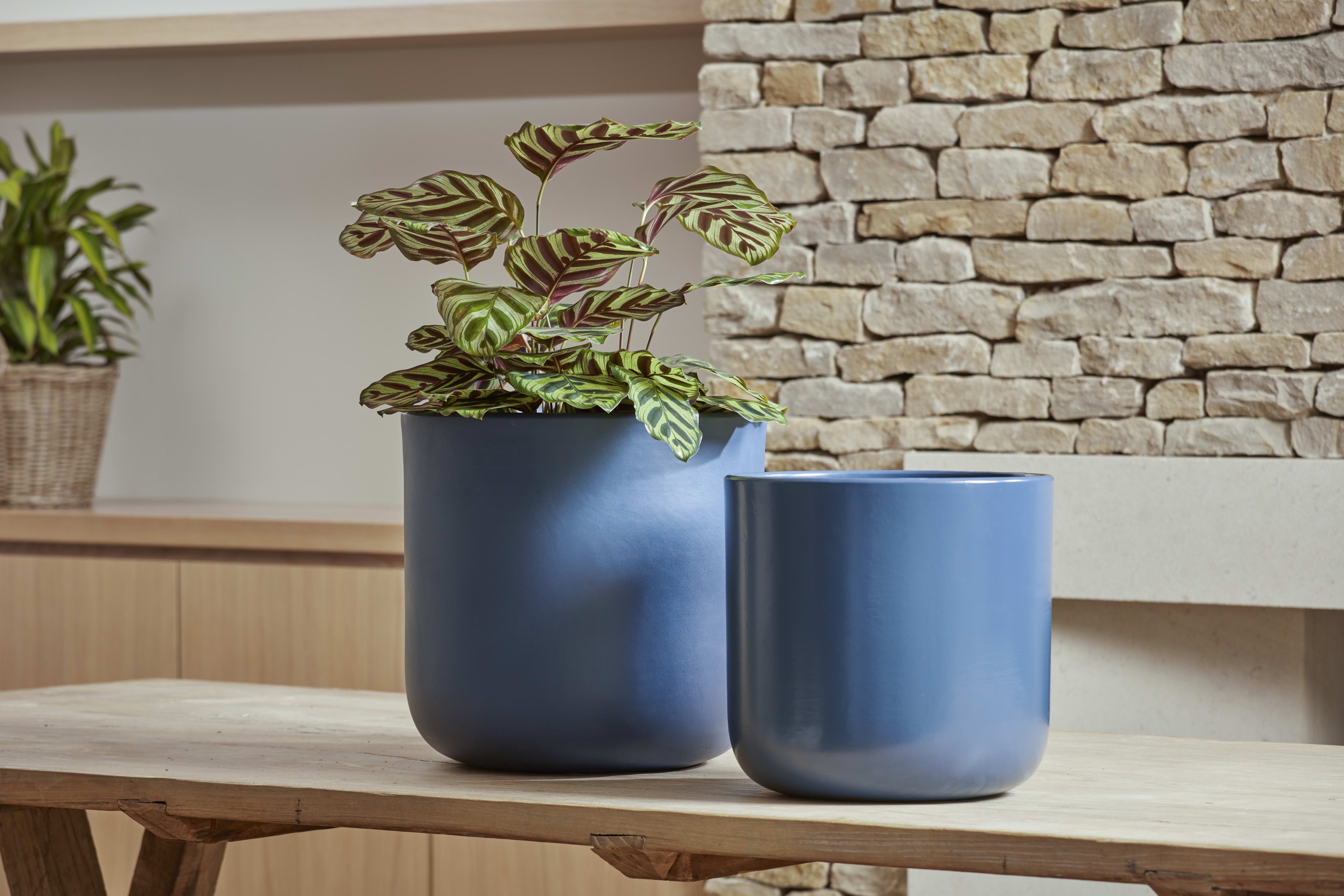 [object Object] image 3