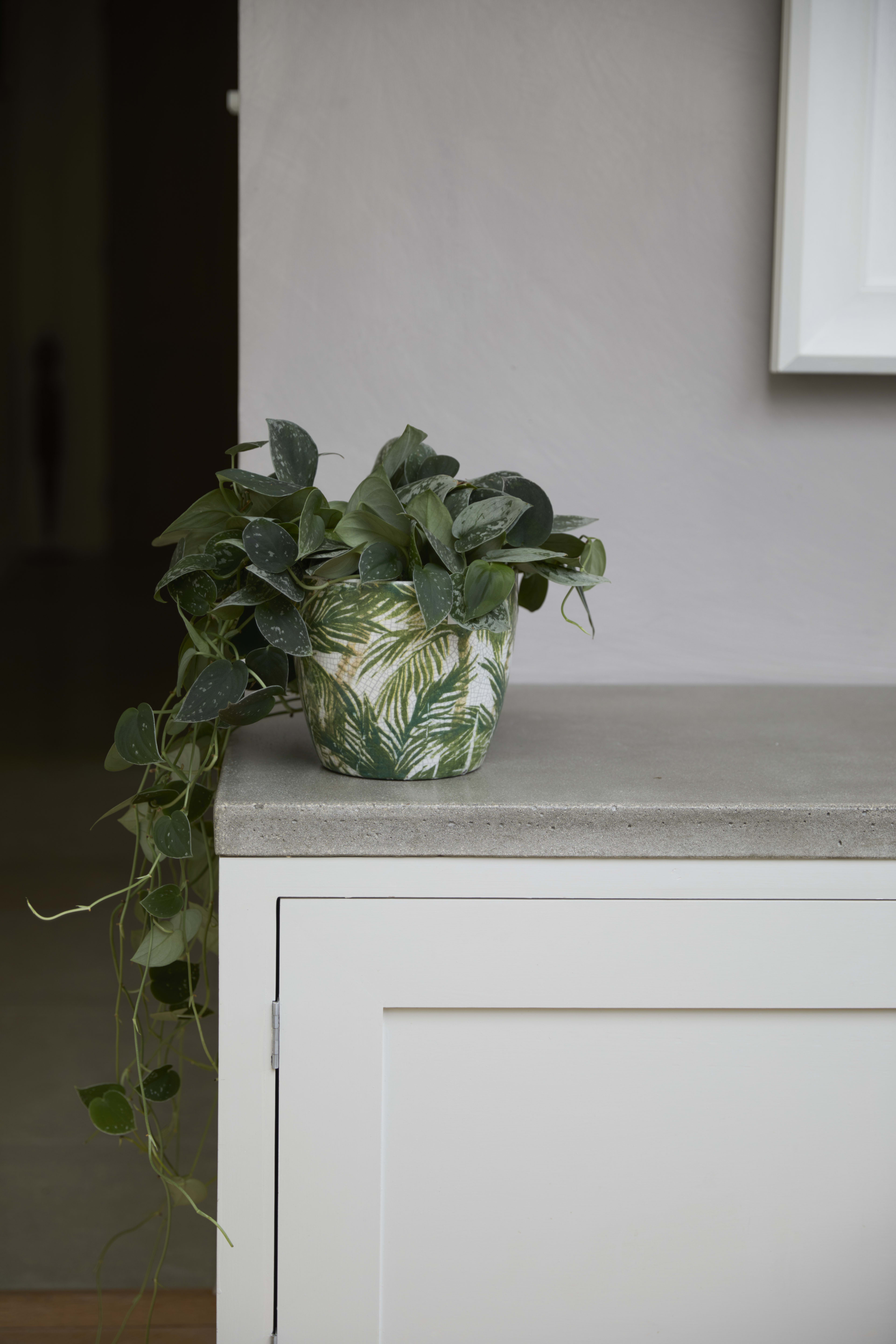 [object Object] image 2