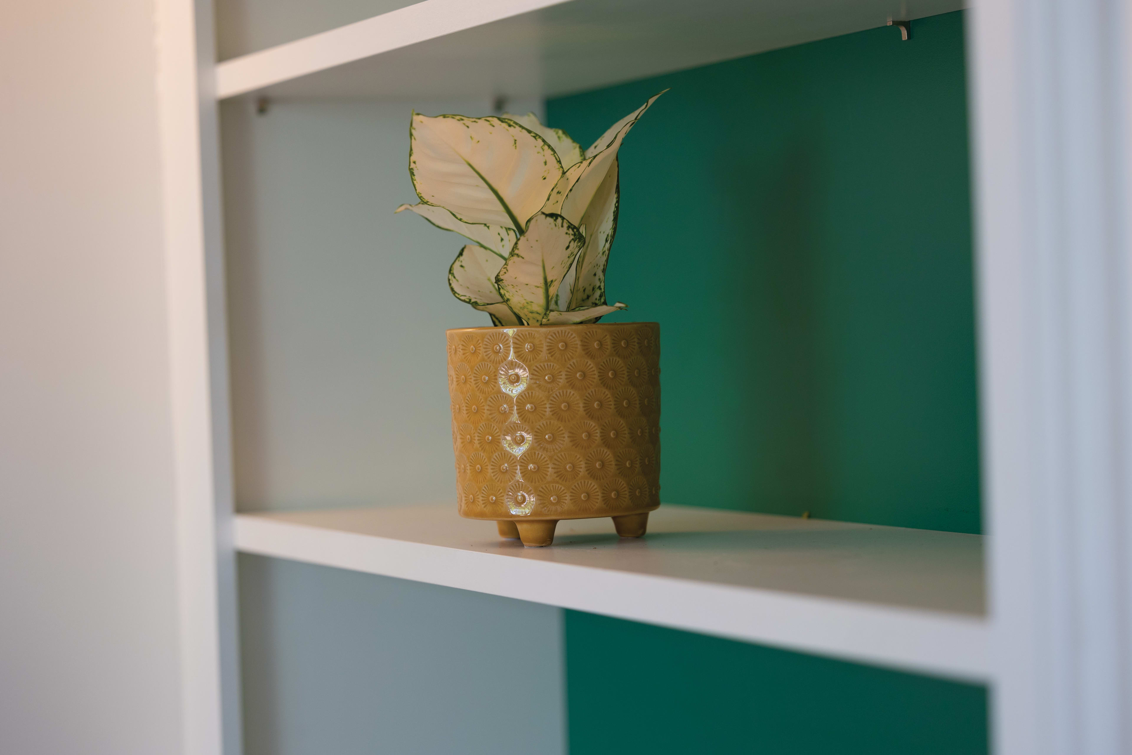 20cm Burst Pot Cover lifestyle