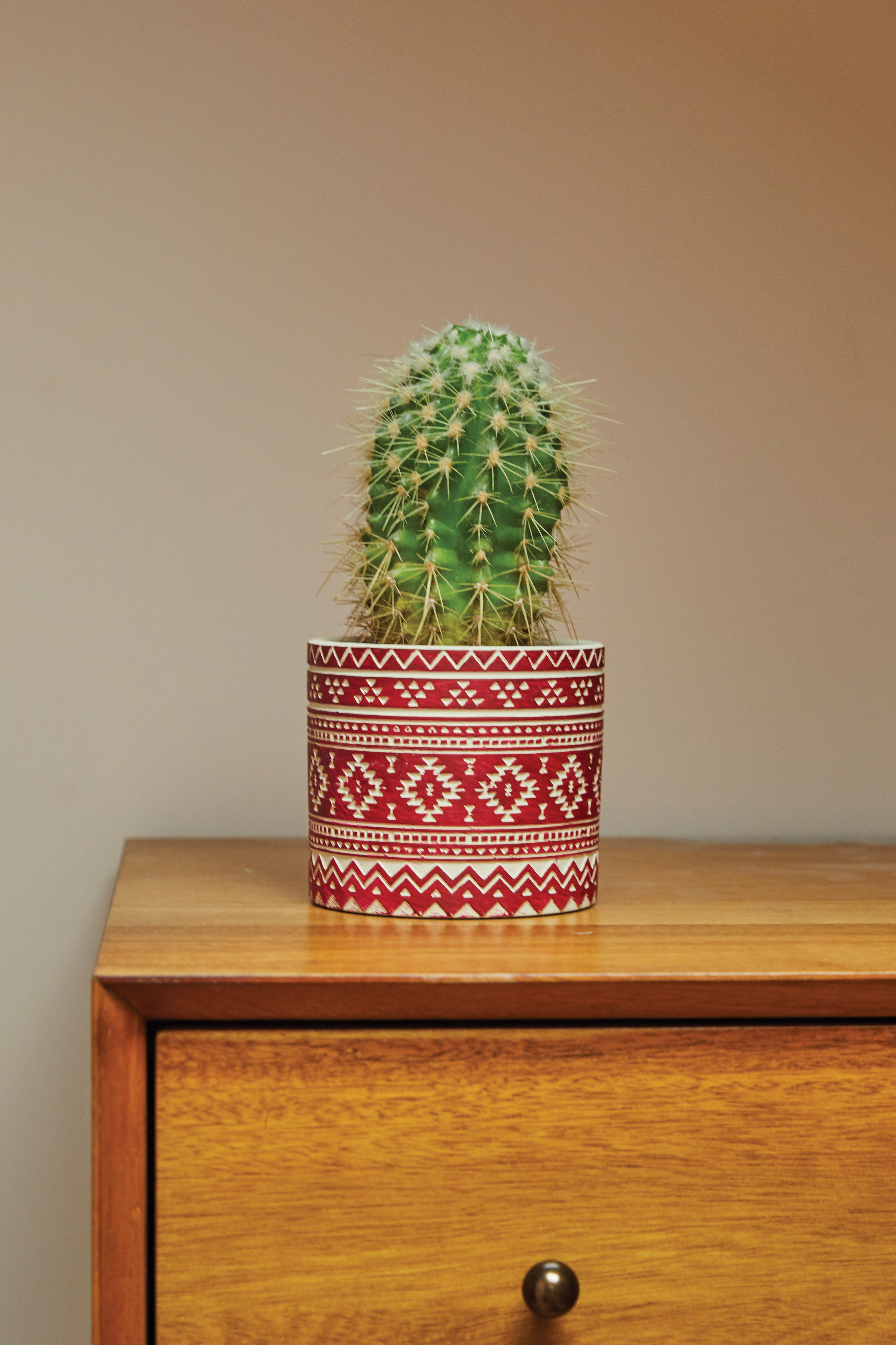 Persia Pot 7cm lifestyle