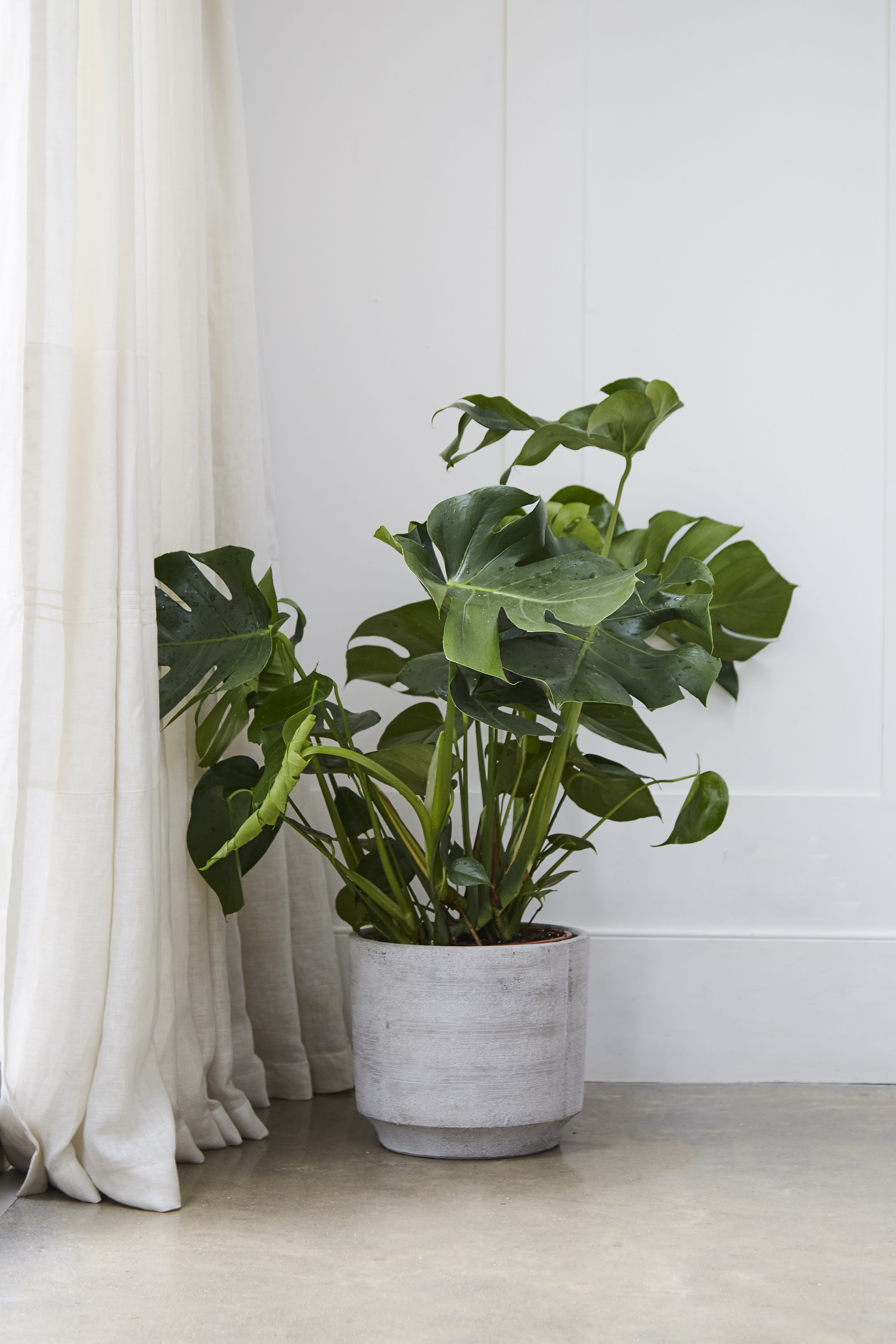 25cm Warren Pot lifestyle