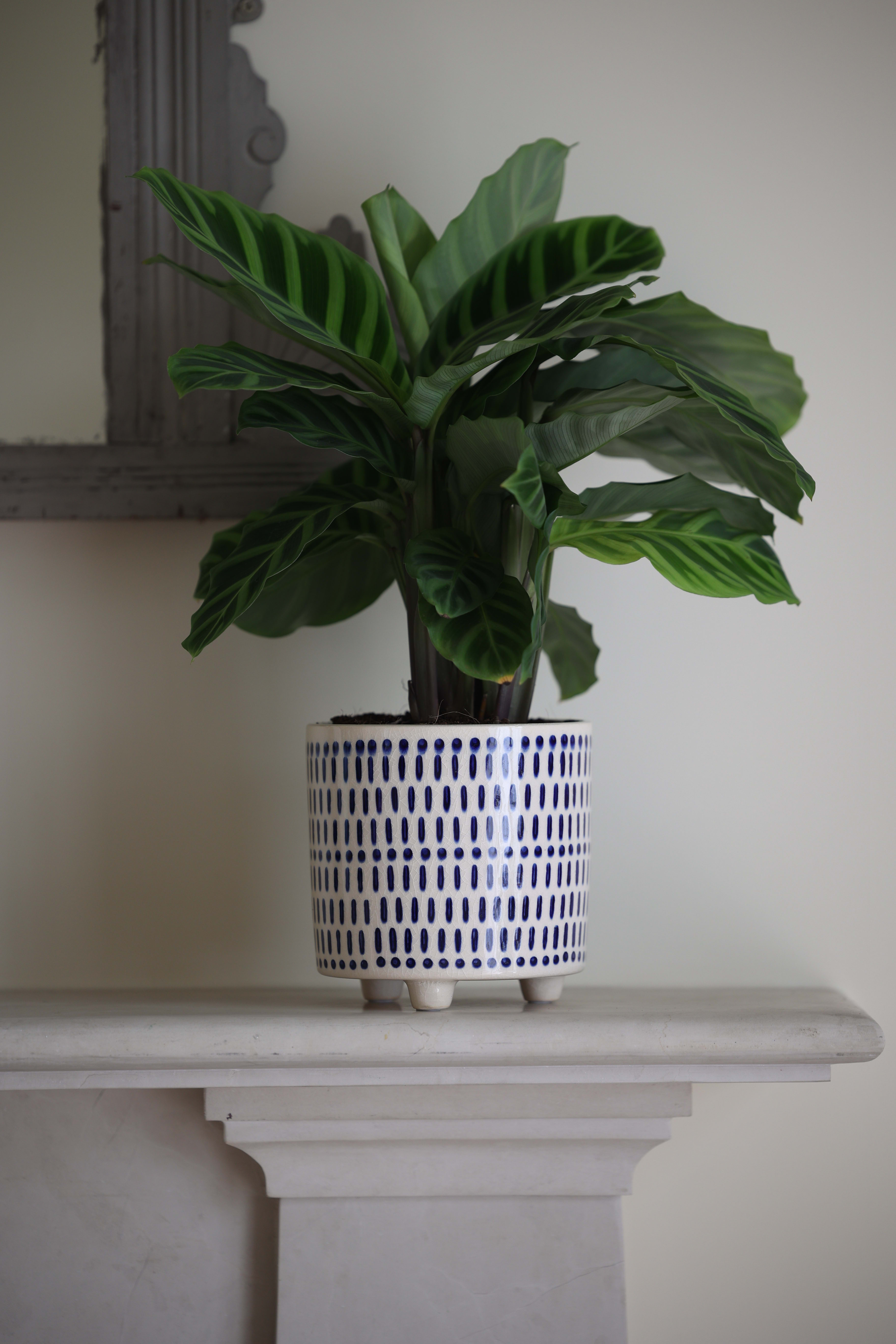 14cm Dash Pot - Blue lifestyle