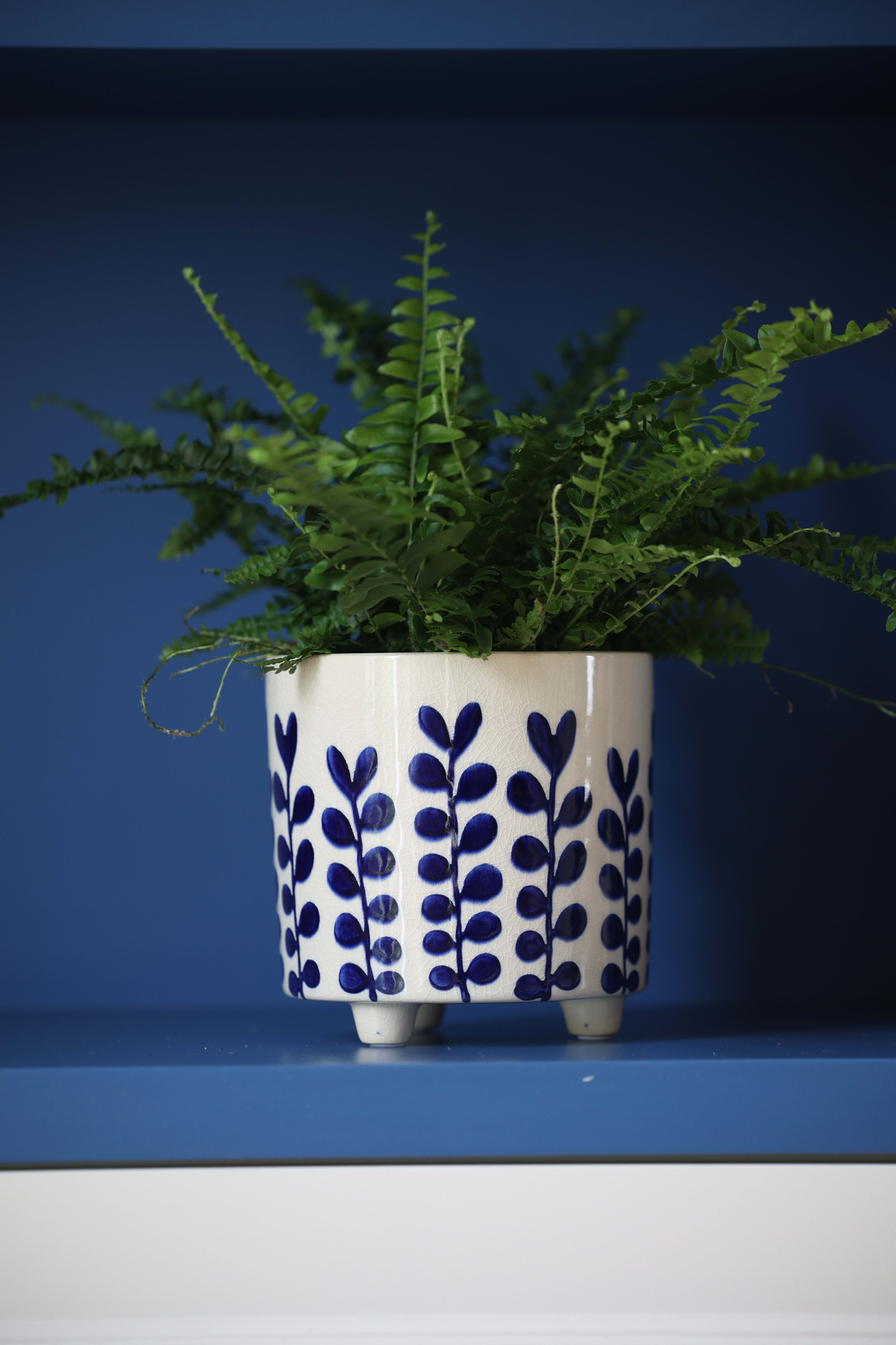14cm Palm Pot - Blue lifestyle