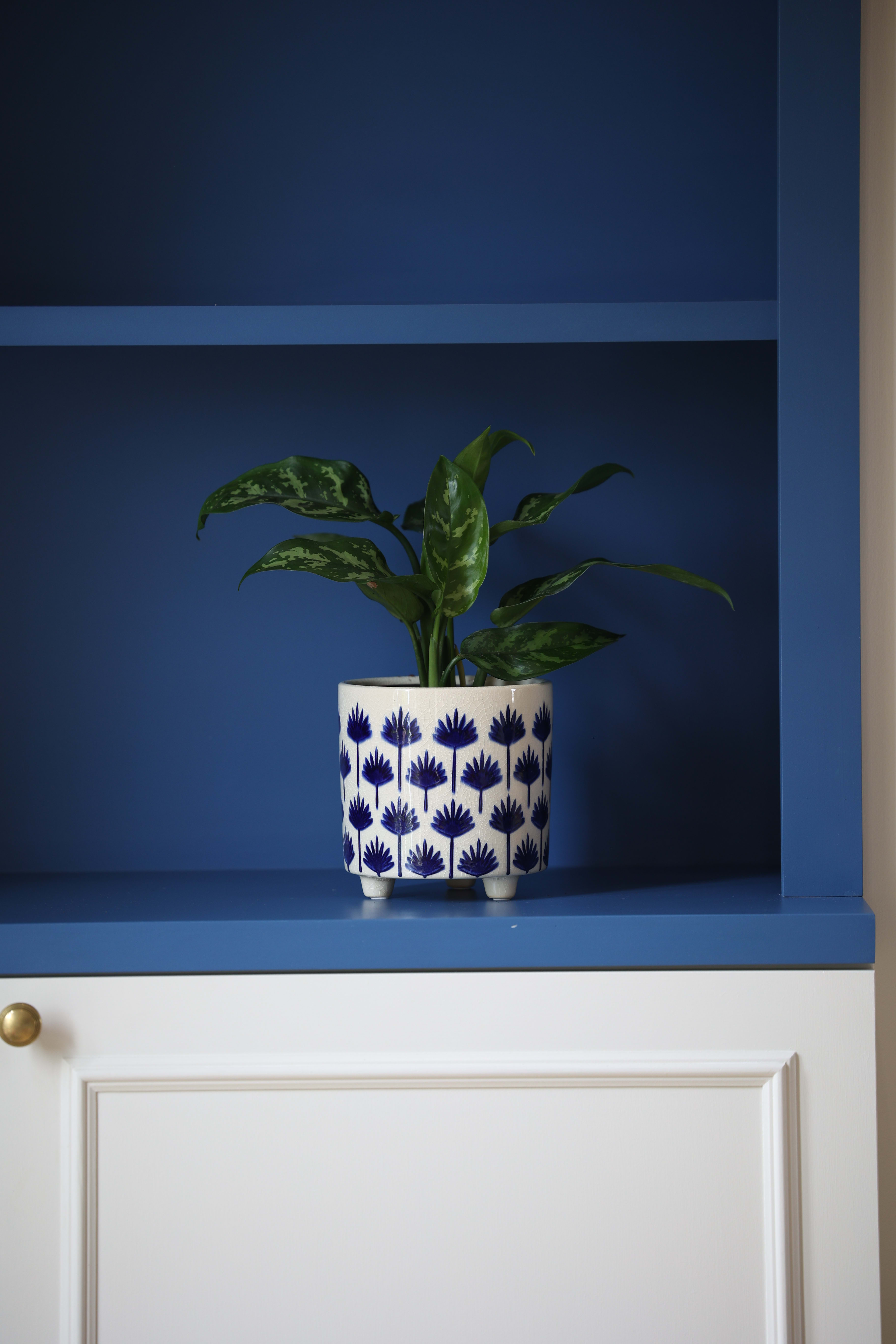 [object Object] image 2