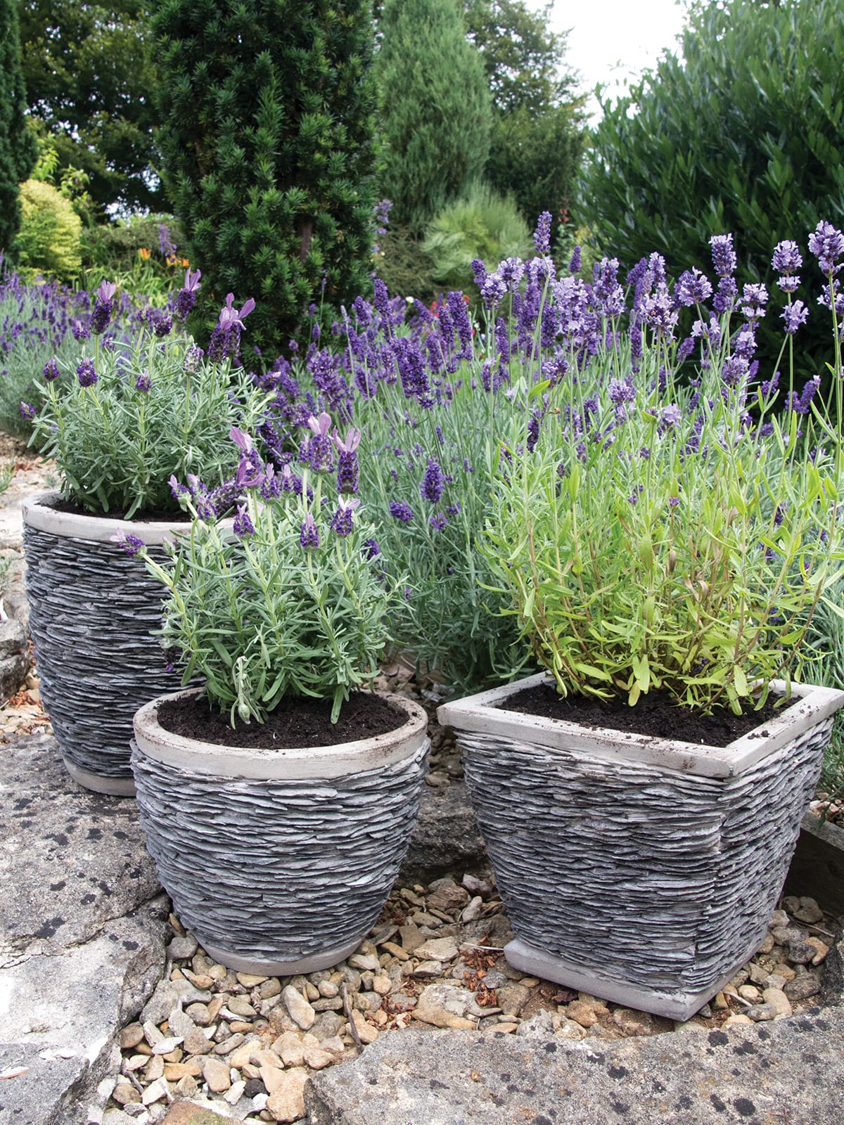 [object Object] image 2