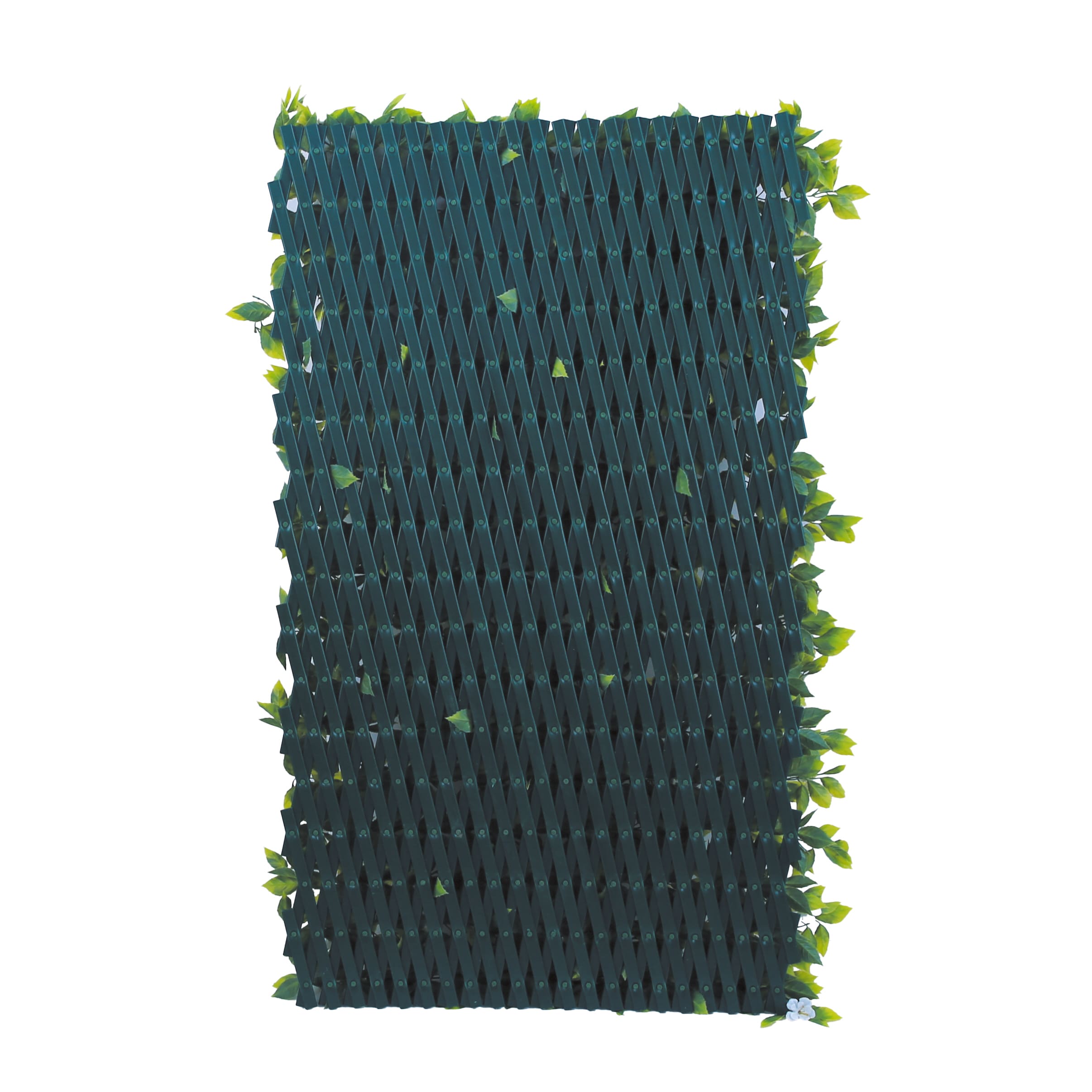 [object Object] image 1