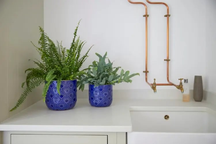 [object Object] image 2