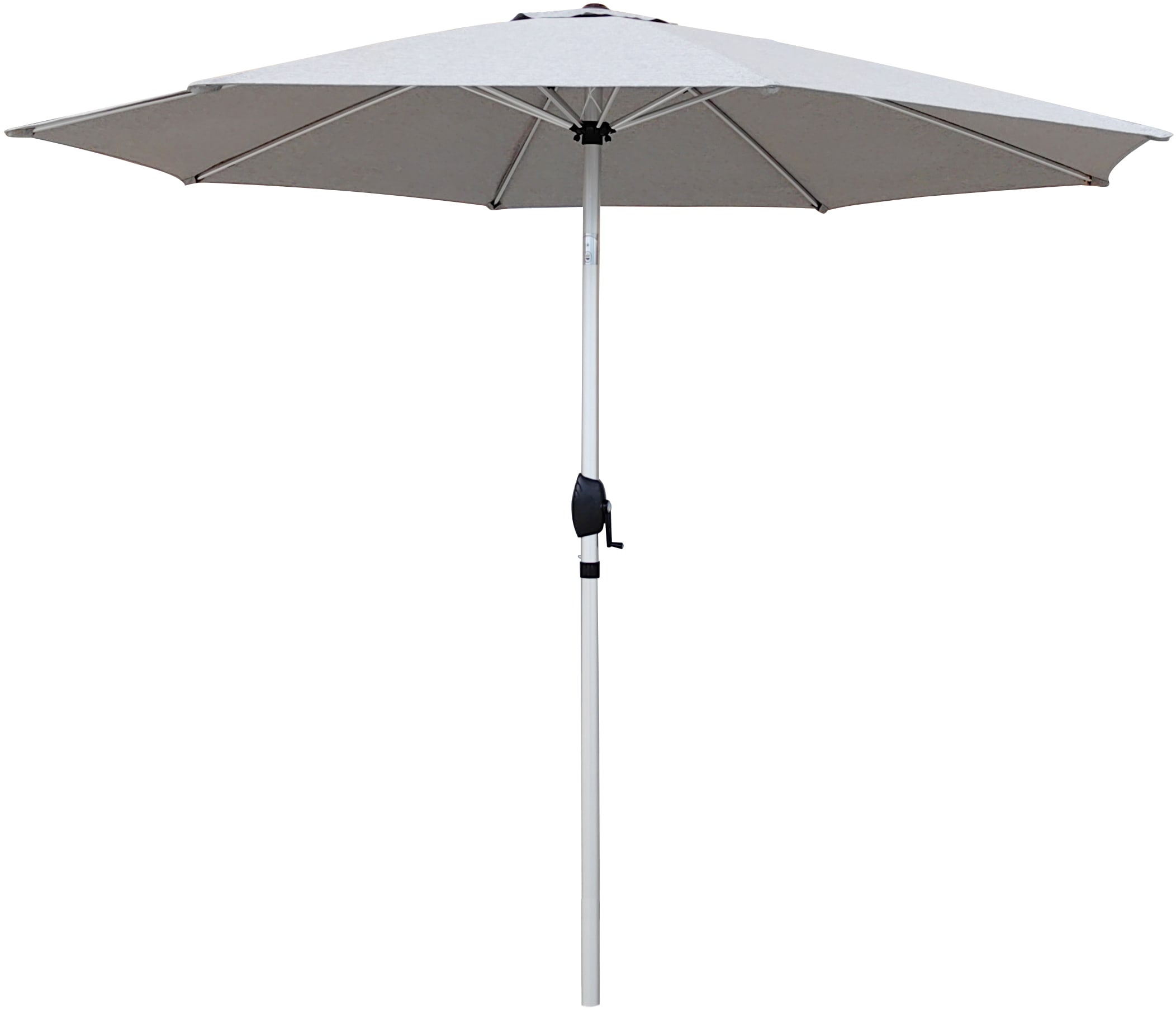 [object Object] image 9