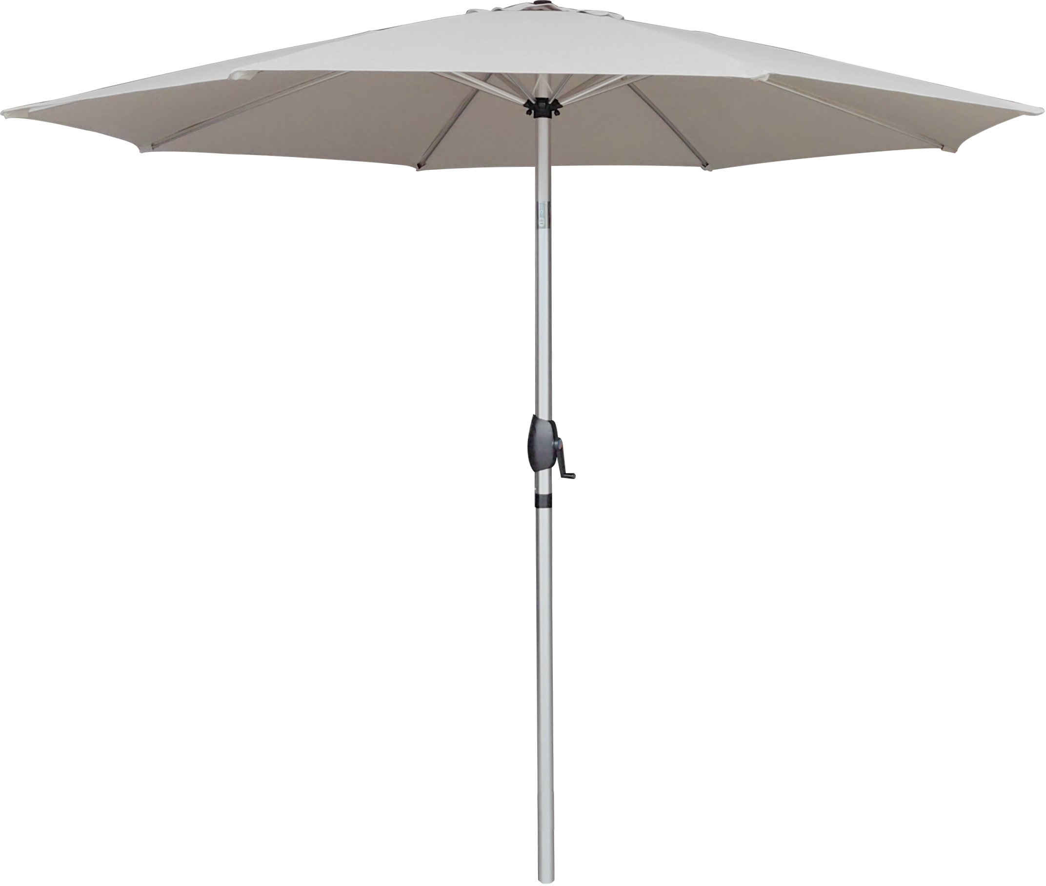 [object Object] image 8