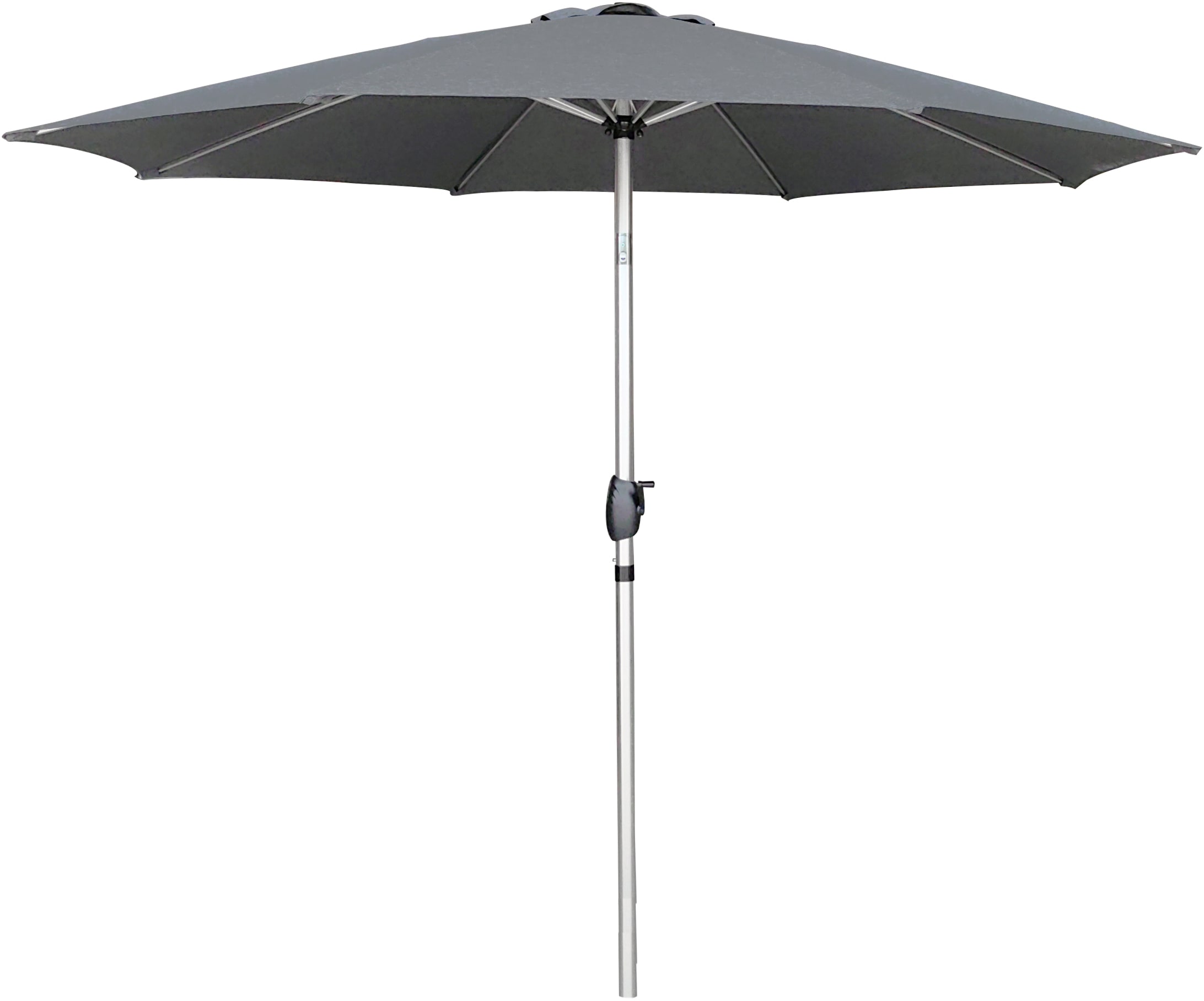 [object Object] image 2