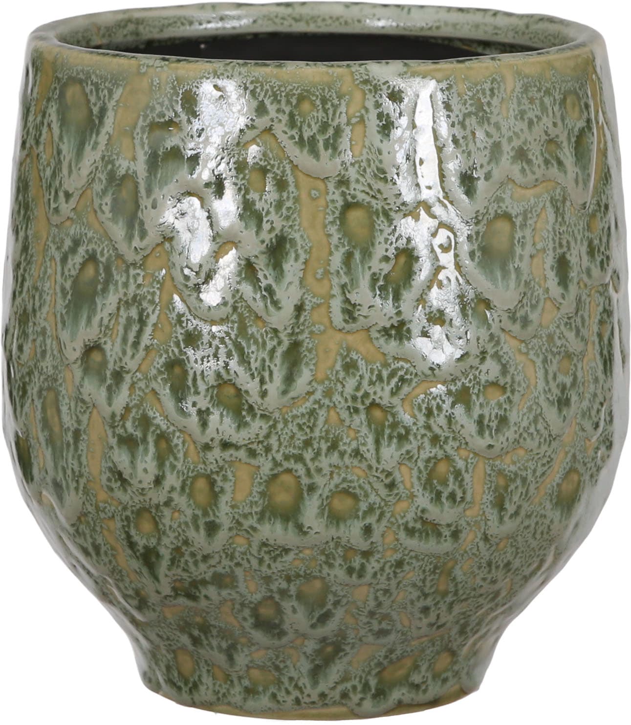 OLSENGR9