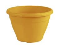 [object Object] image 2