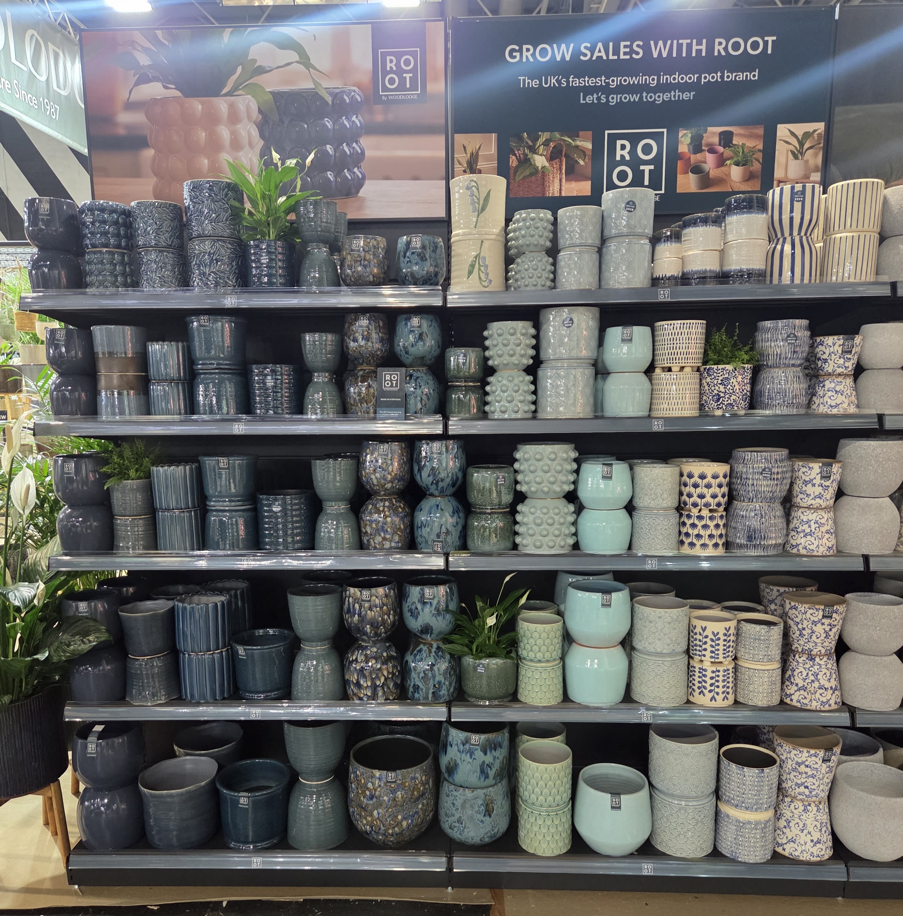 Indoor Collection - Blues