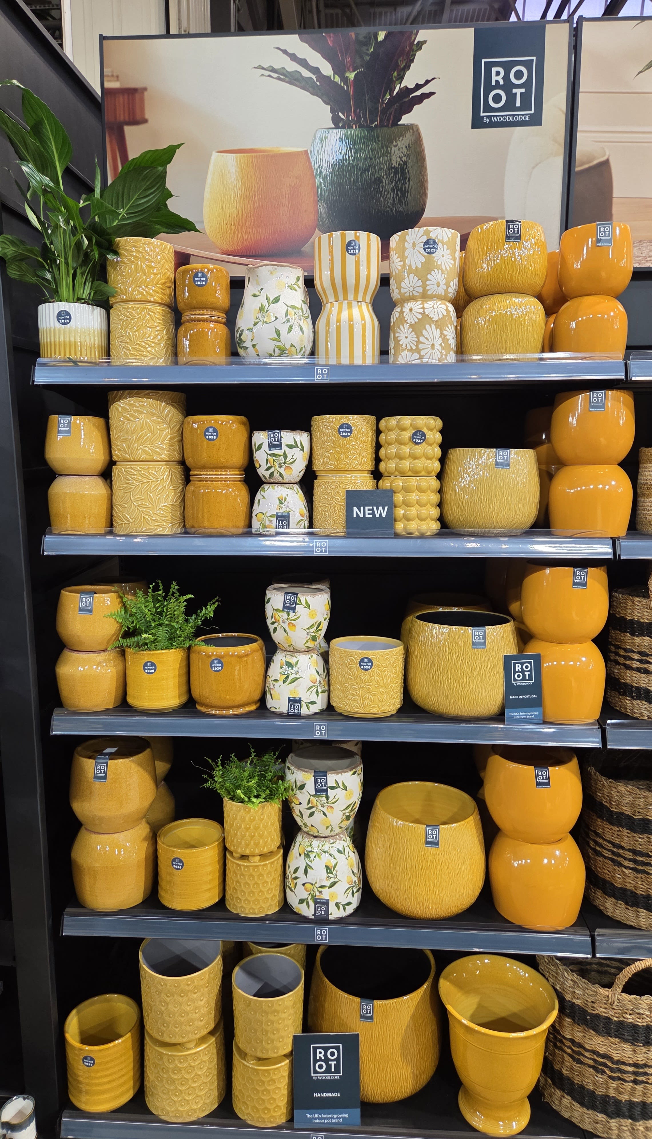 Indoor Collection - Yellows