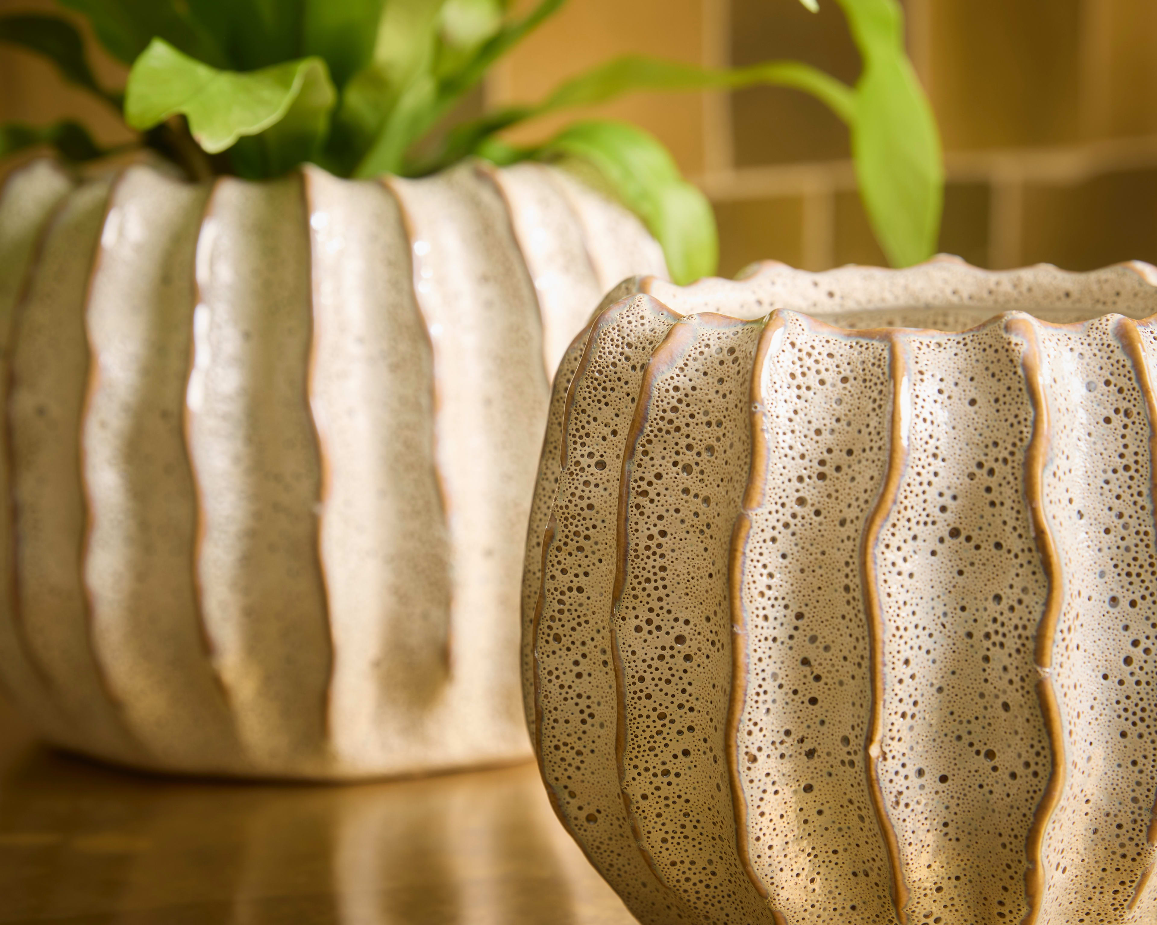 [object Object] image 2