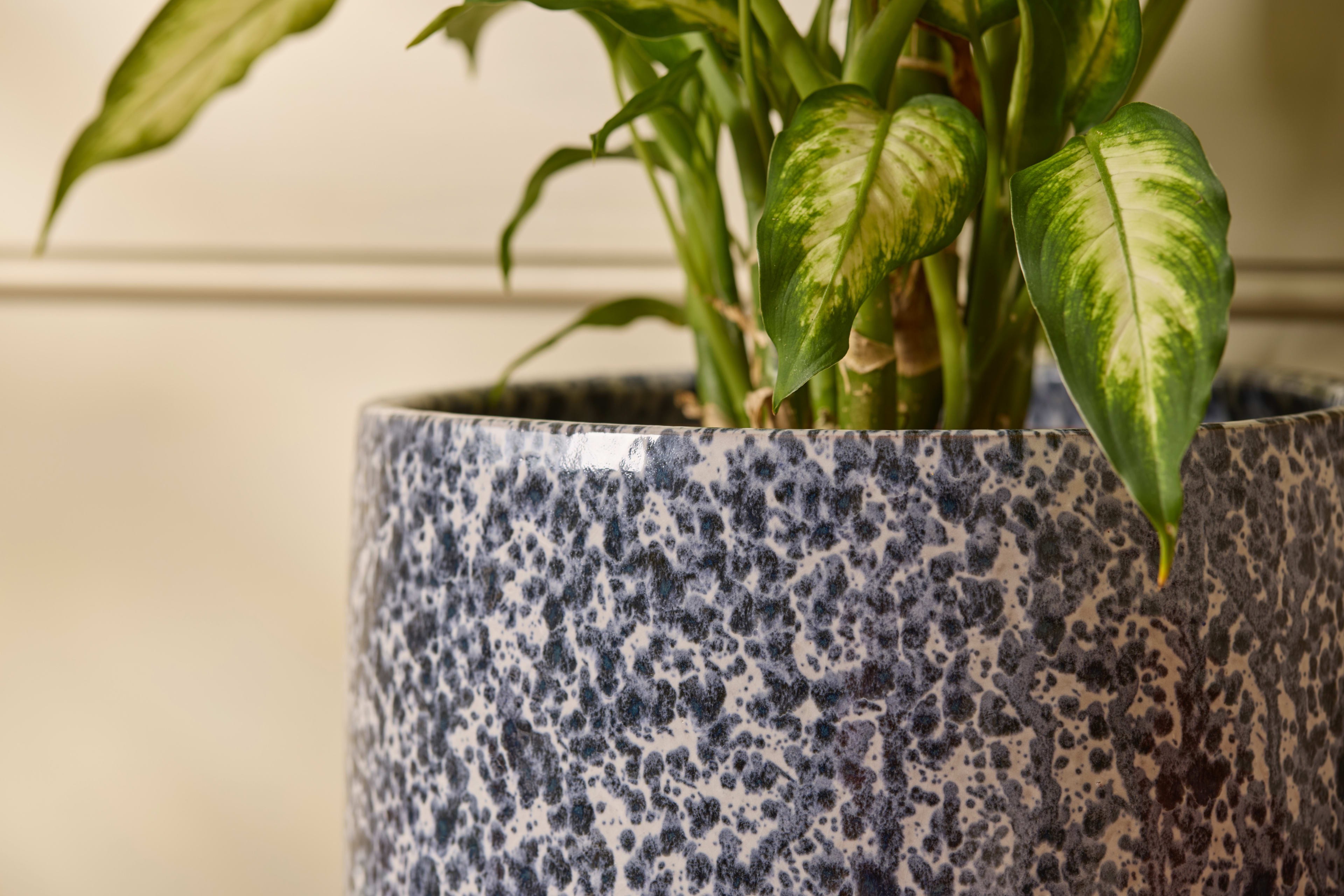 [object Object] image 2