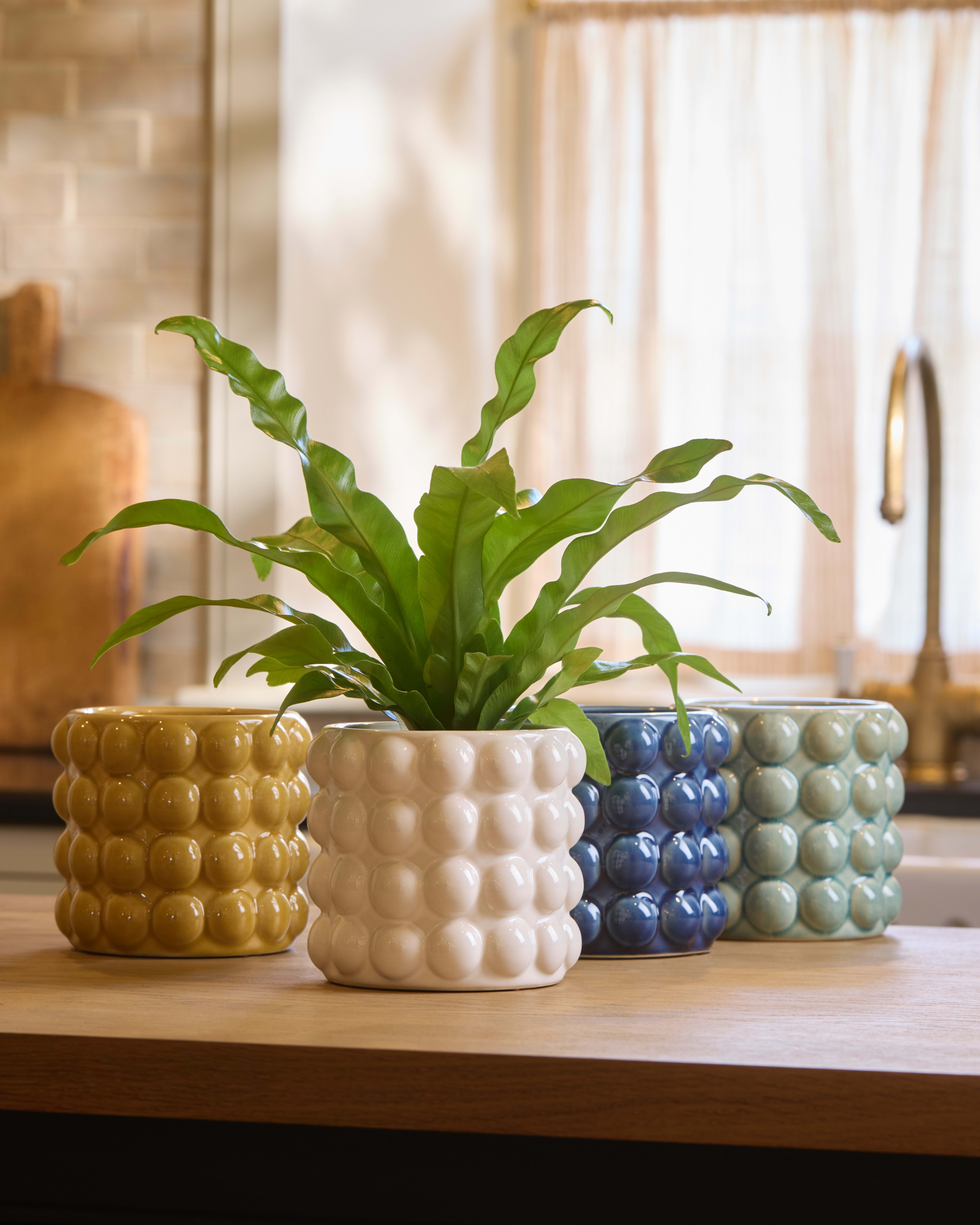 Dot Pot Blue 13cm lifestyle