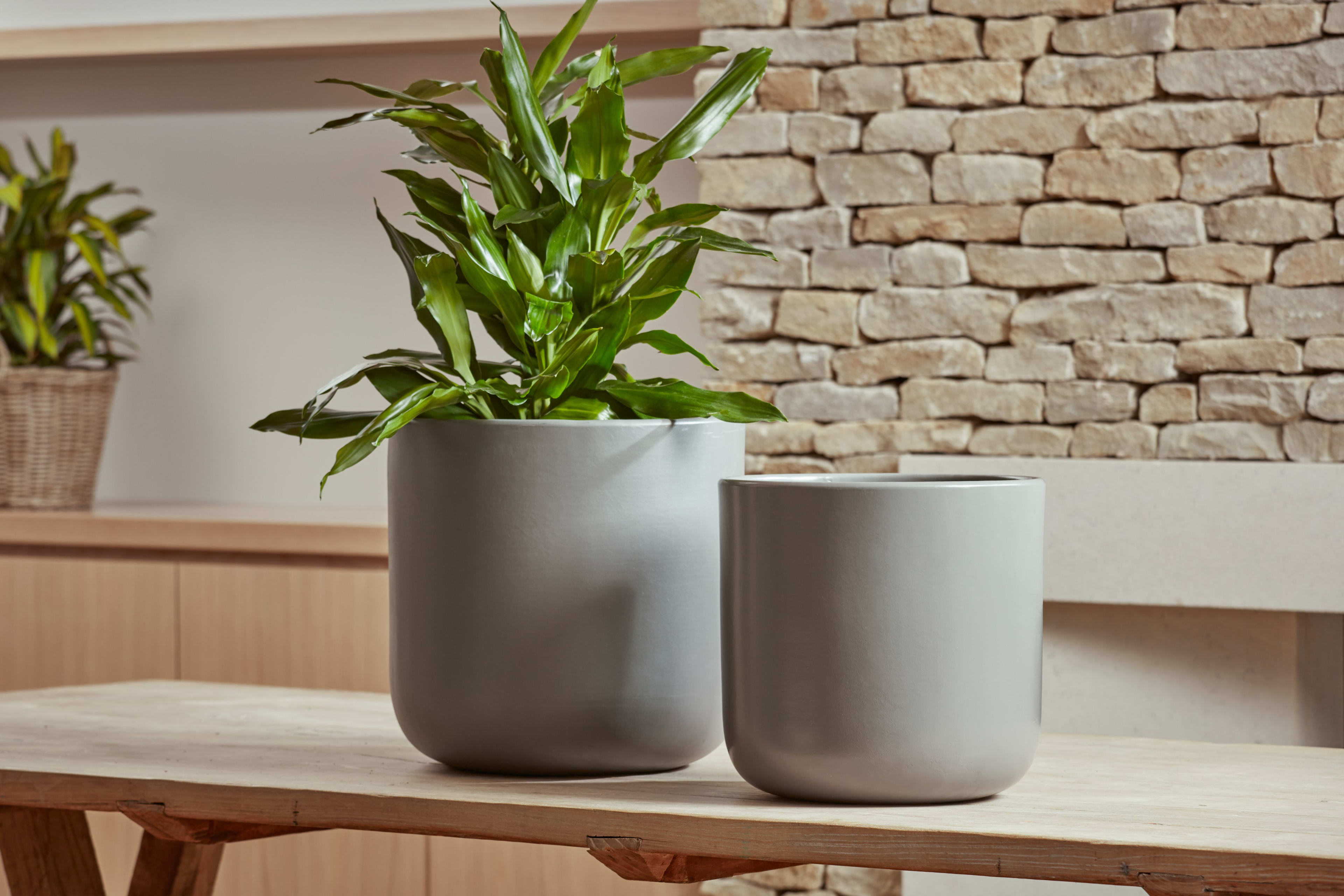 [object Object] image 1