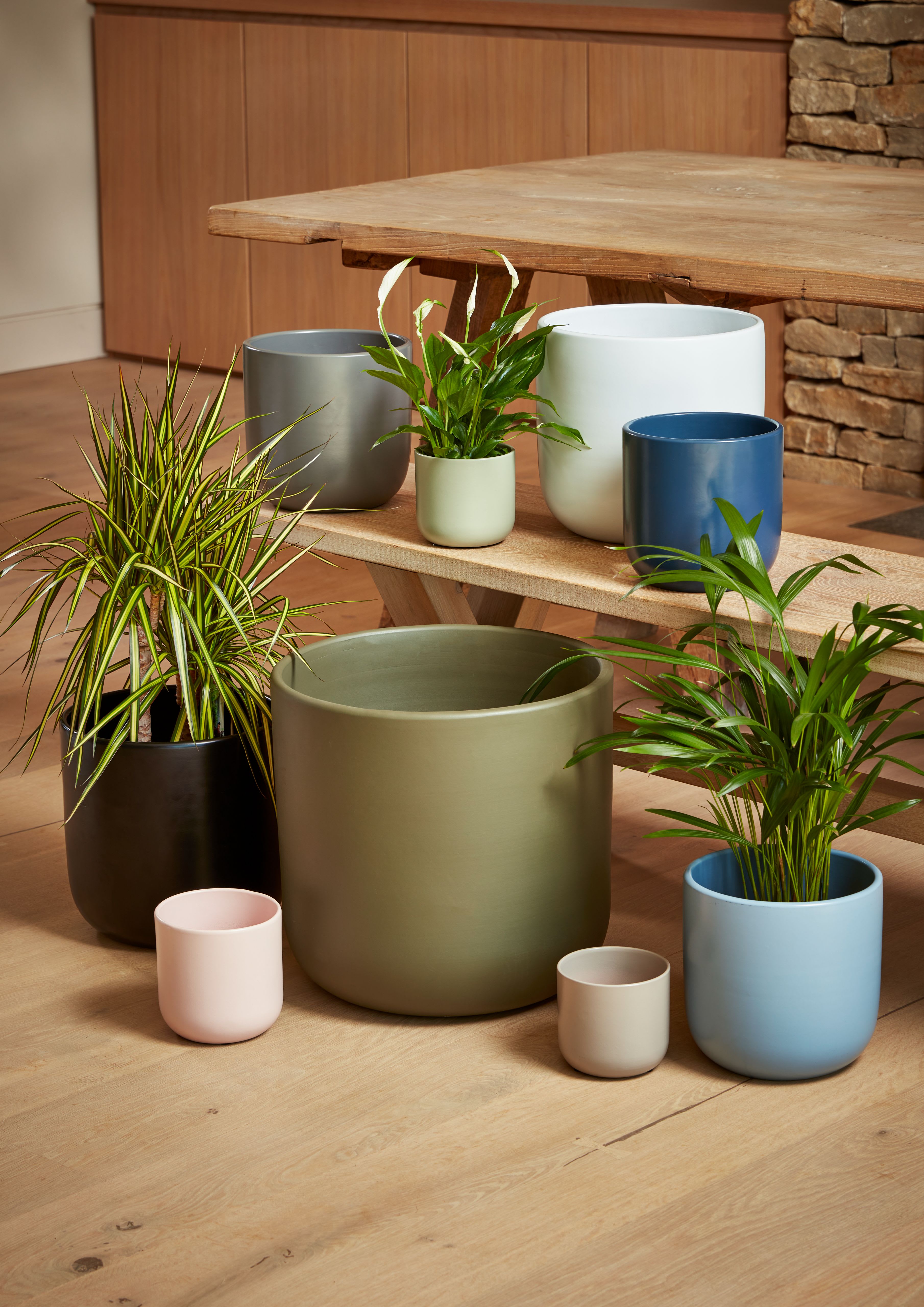 [object Object] image 2