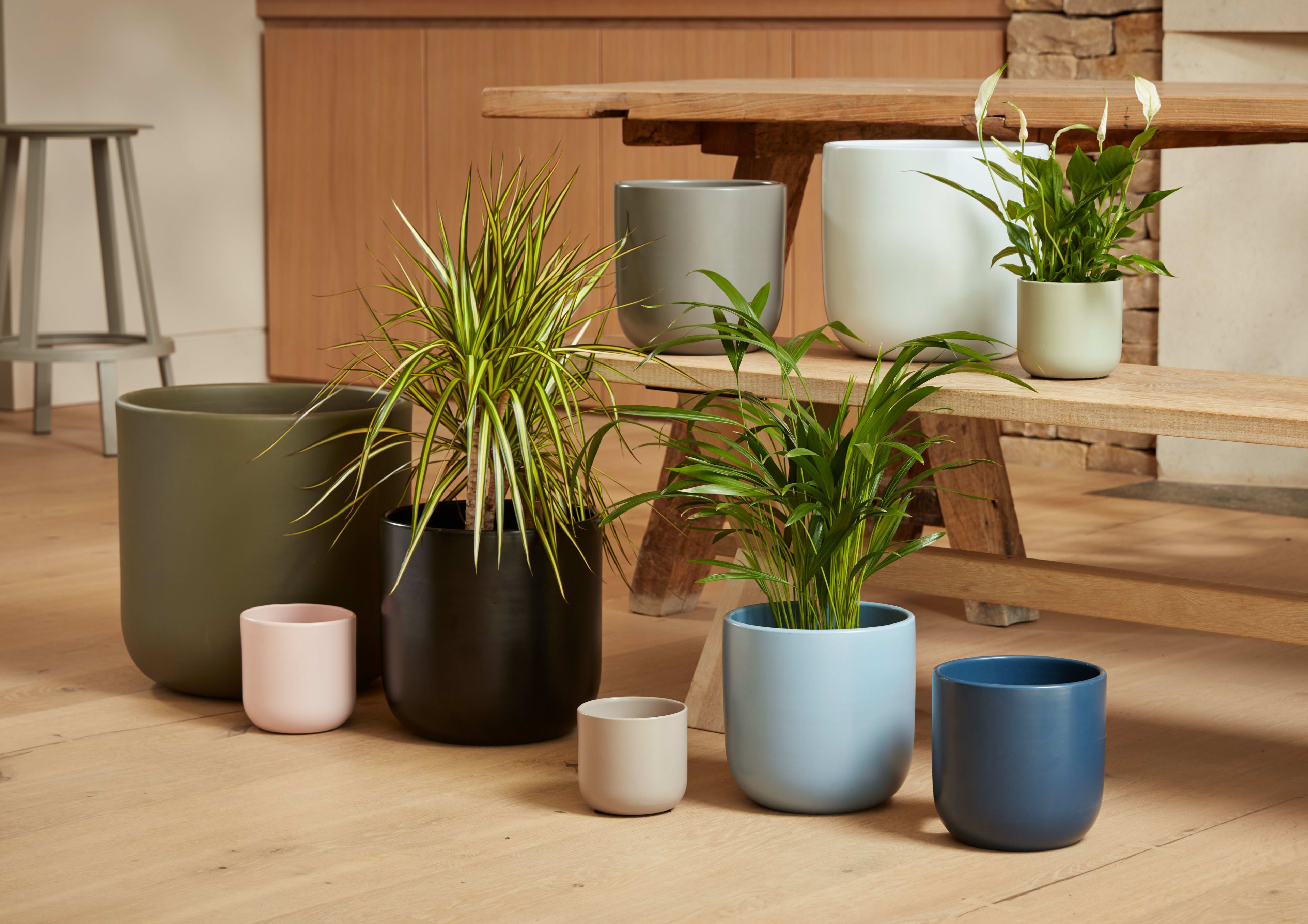 [object Object] image 3