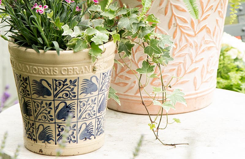 Woodlodge Raises £70,000 for William Morris Gallery