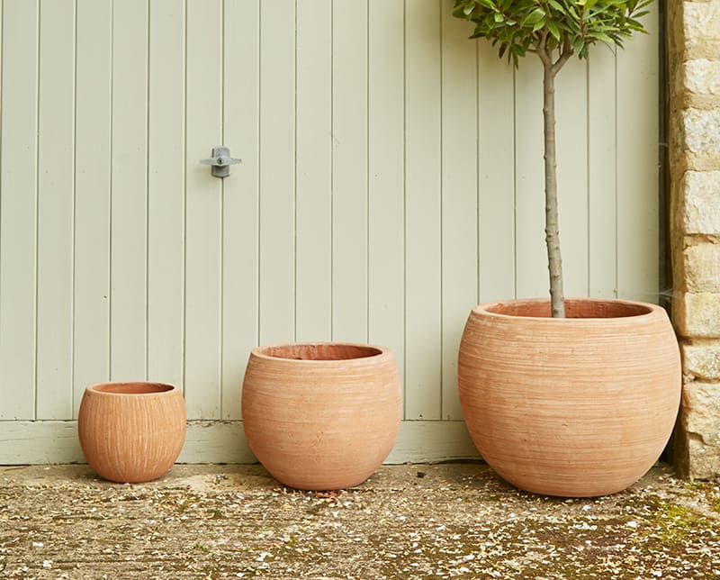 Round terracotta flower pots in three different sizes. A small tree is planted in the largest flower pot.