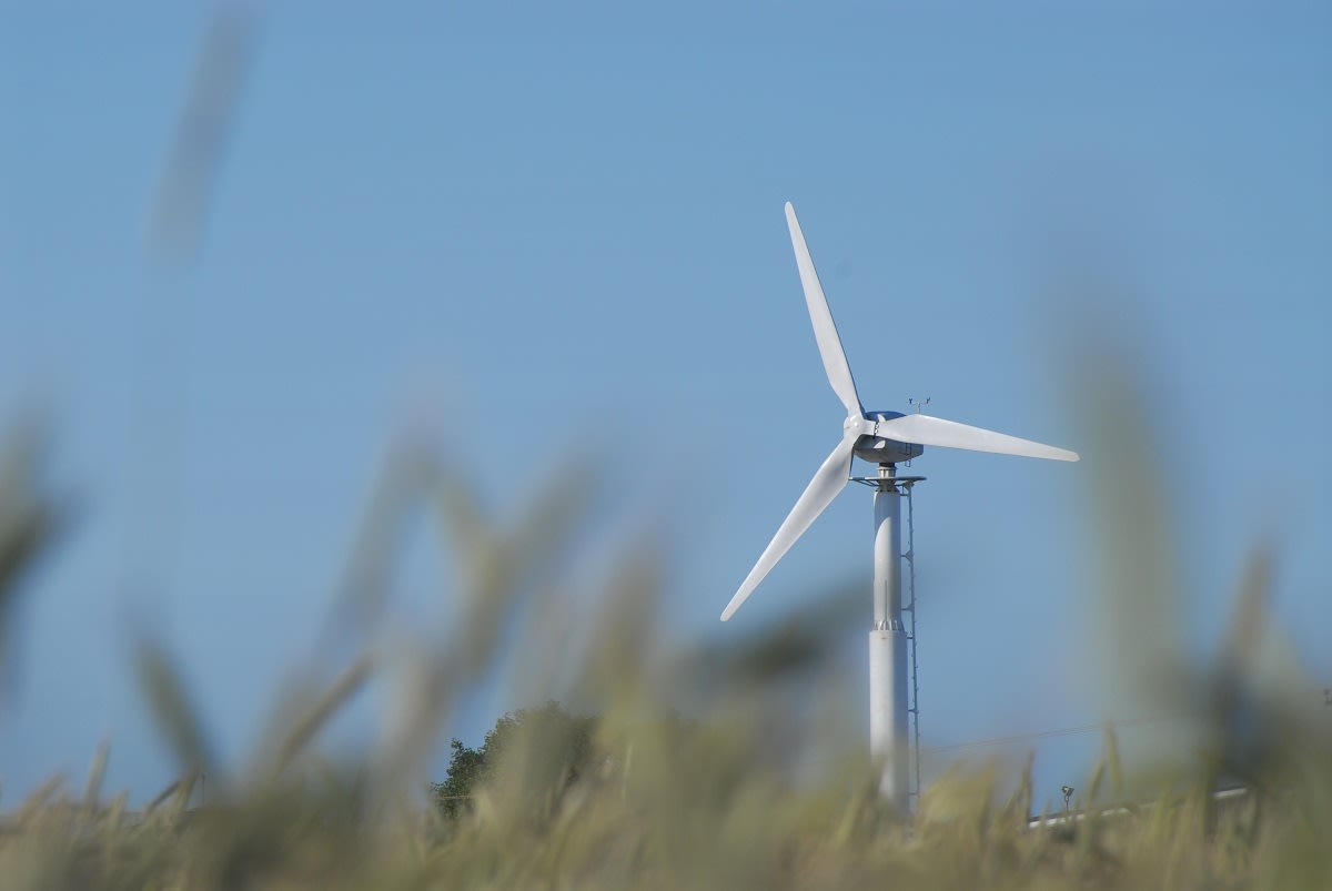 A wind turbine in the background behind some foliage with a blue-sky backdrop.