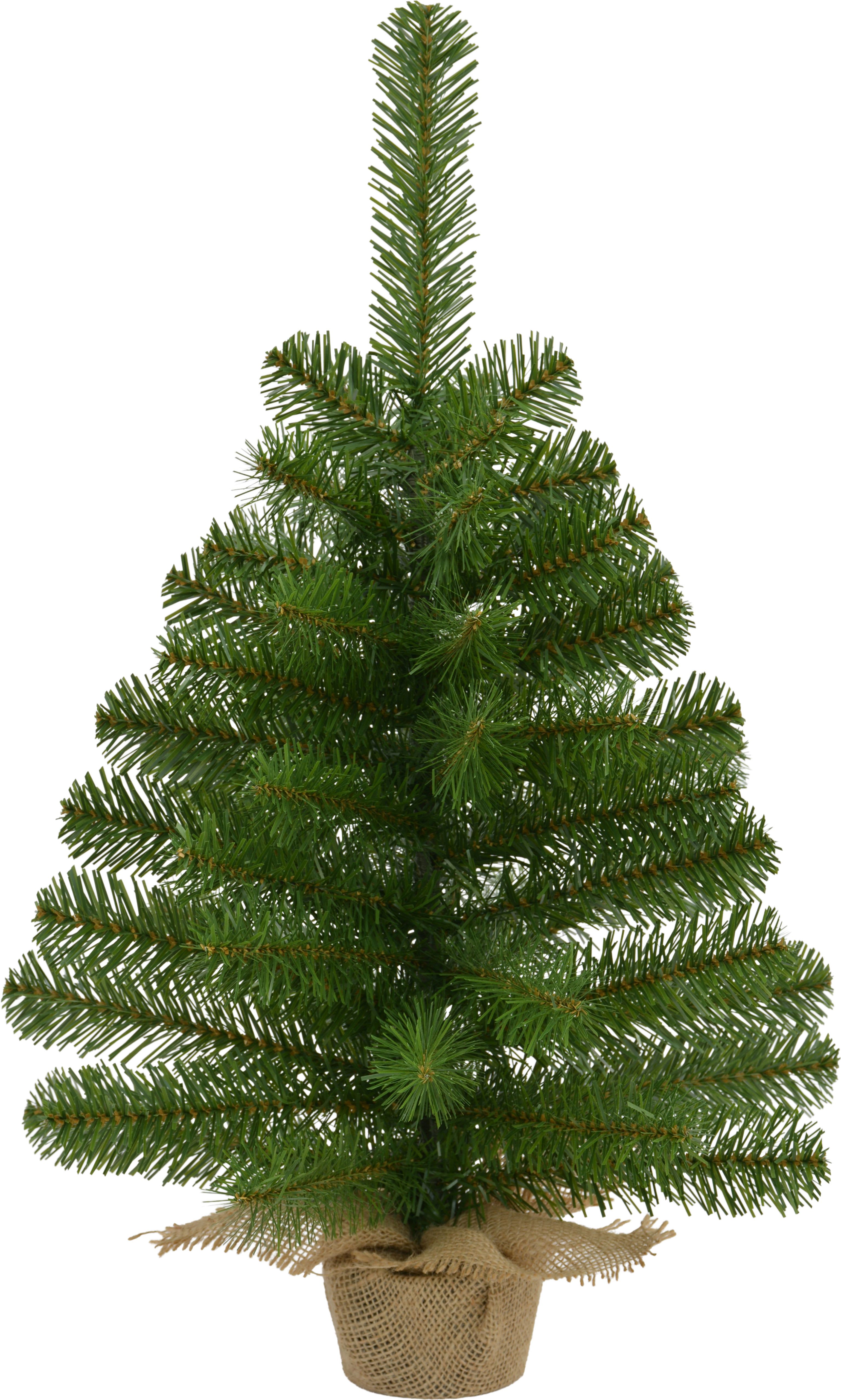 ROYFIR45