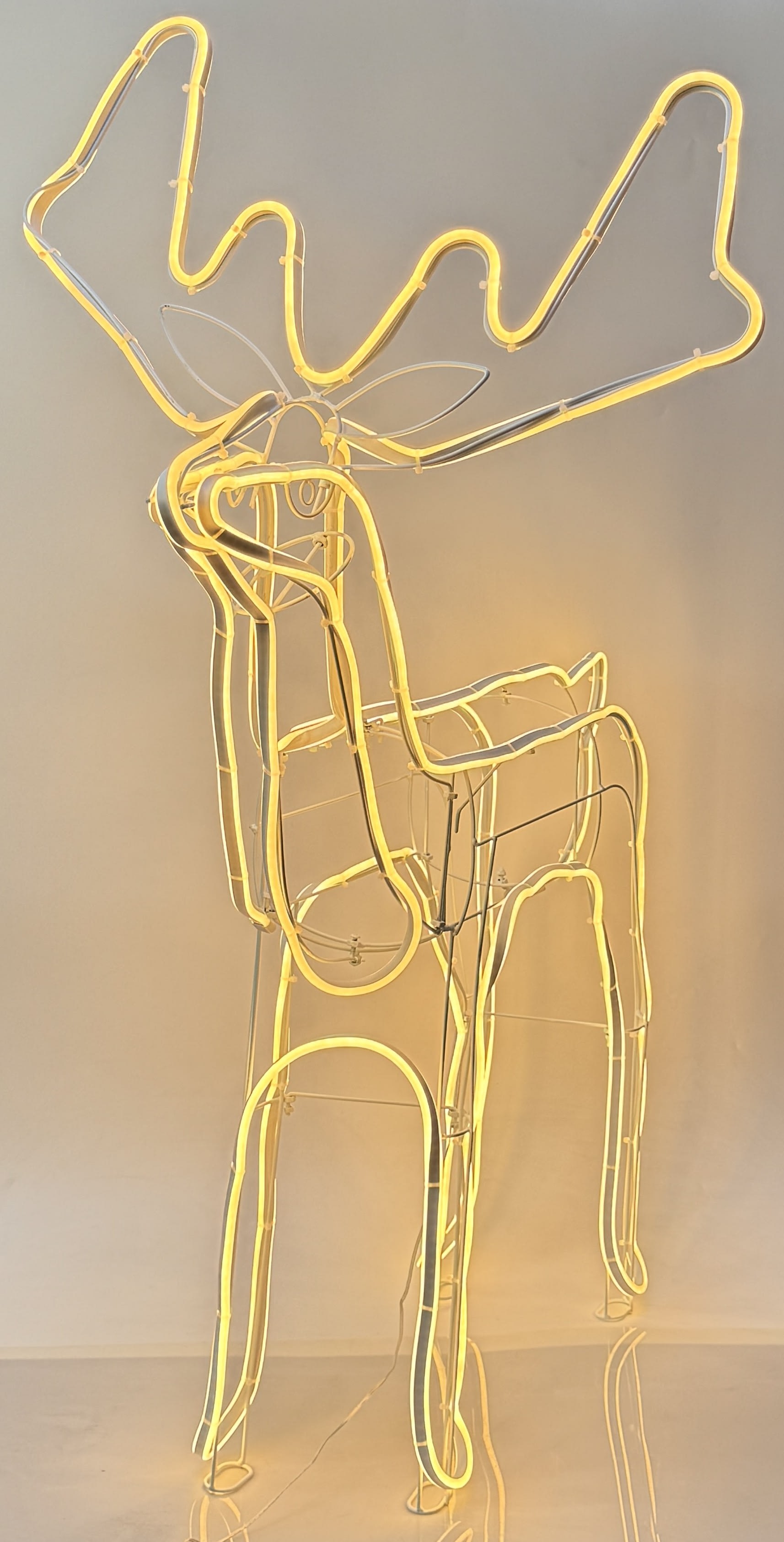 [object Object] image 0