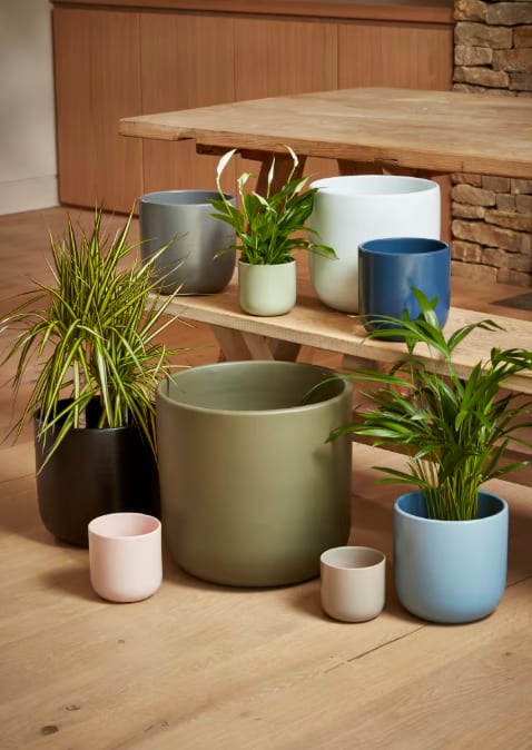 [object Object] image 1