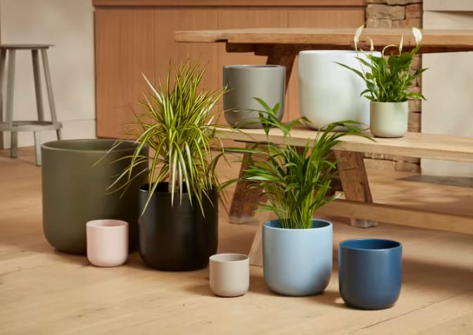 [object Object] image 2