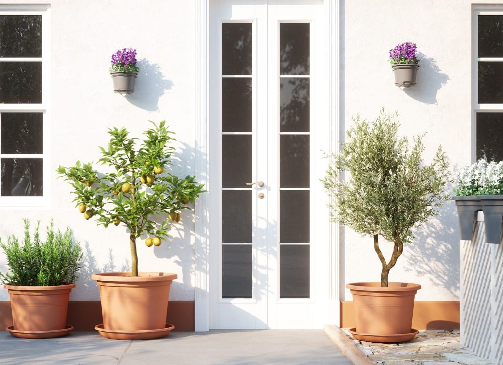 [object Object] image 1