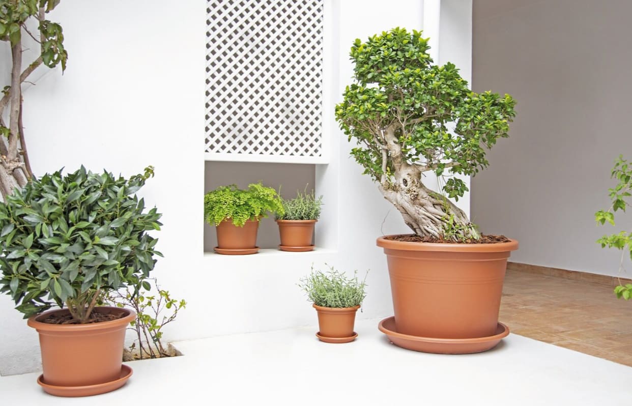 [object Object] image 1