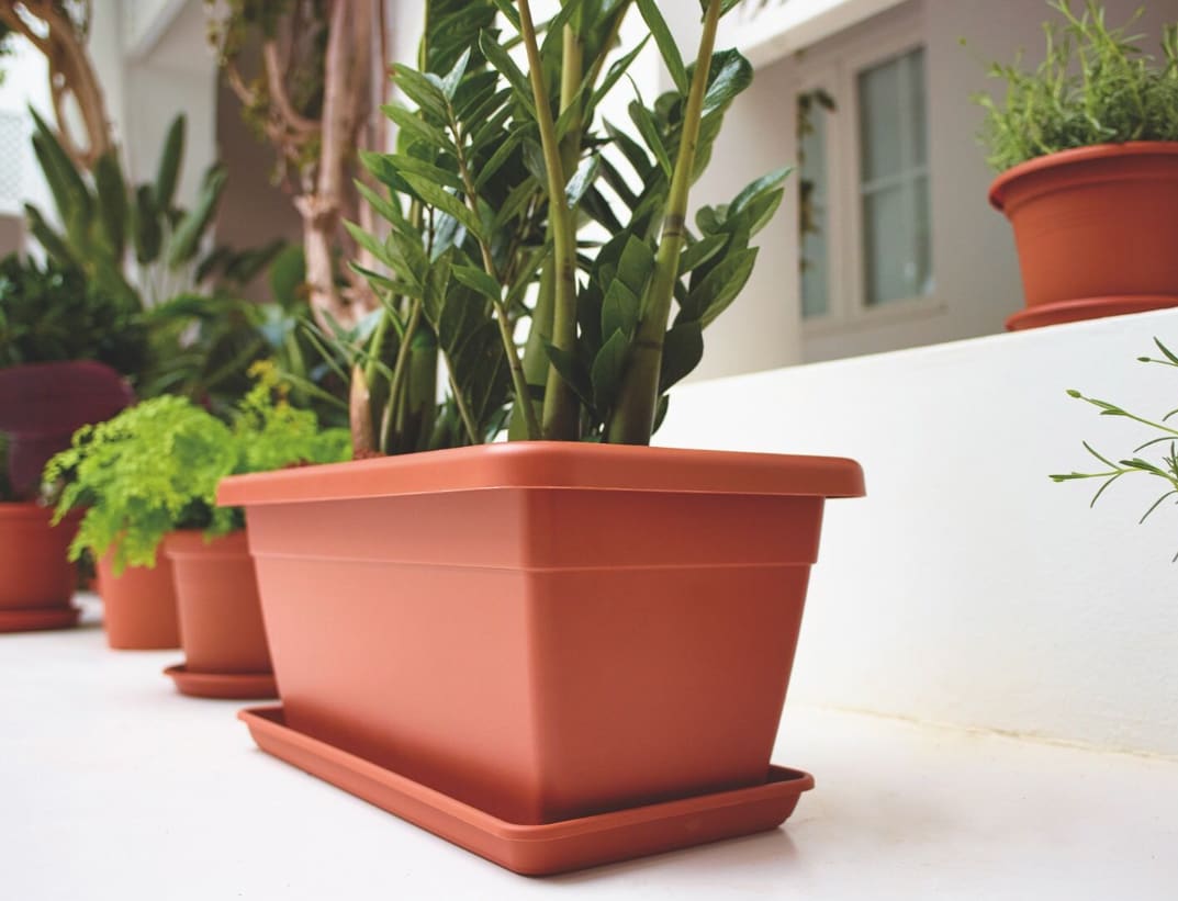 [object Object] image 1