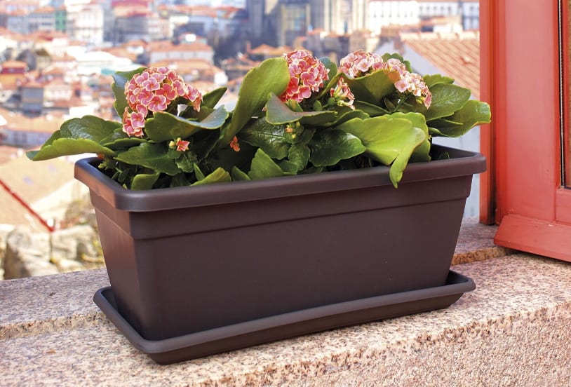 [object Object] image 1